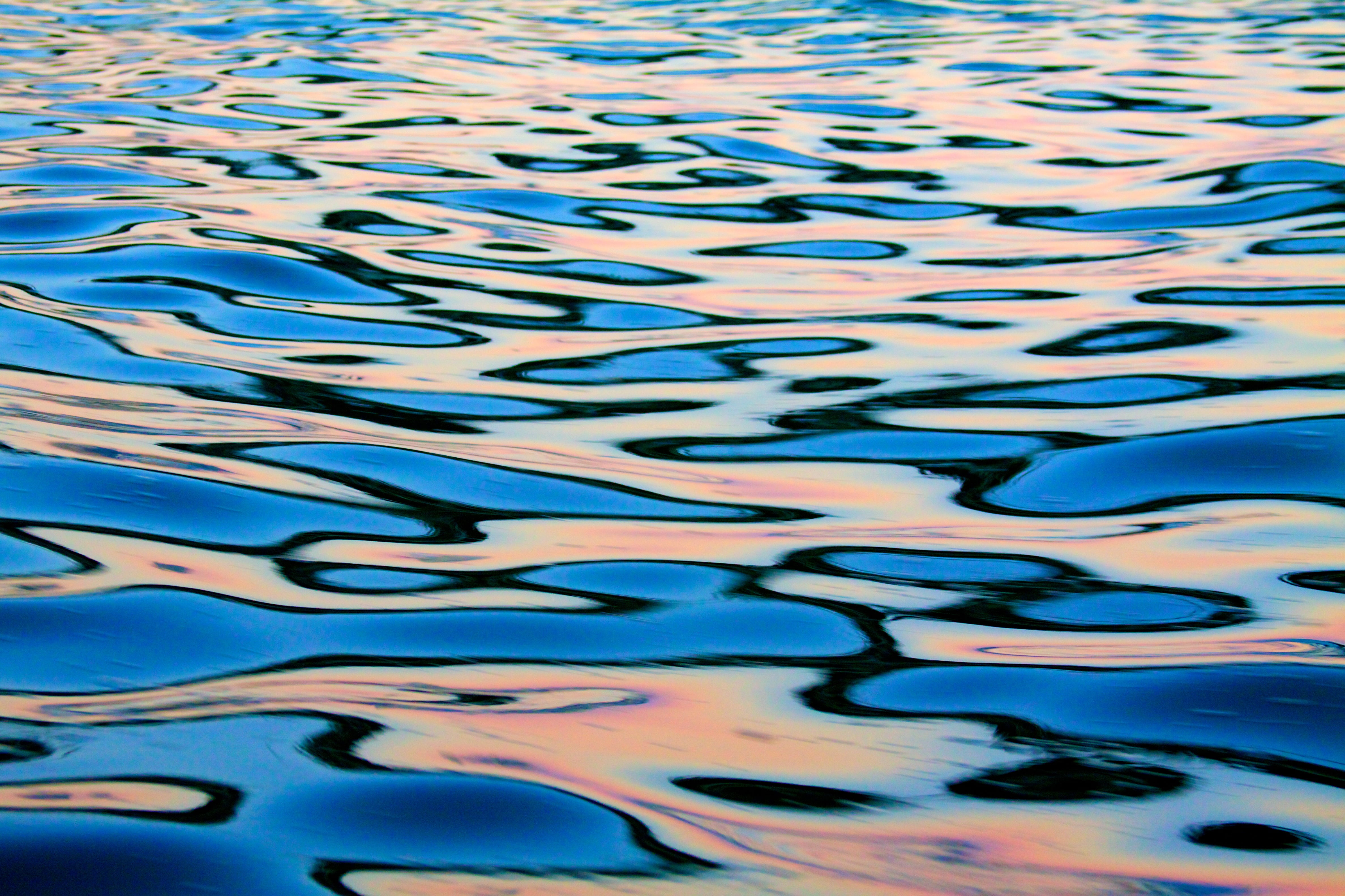 closeup photography of water, Liquidity, reflections, sf  bay area