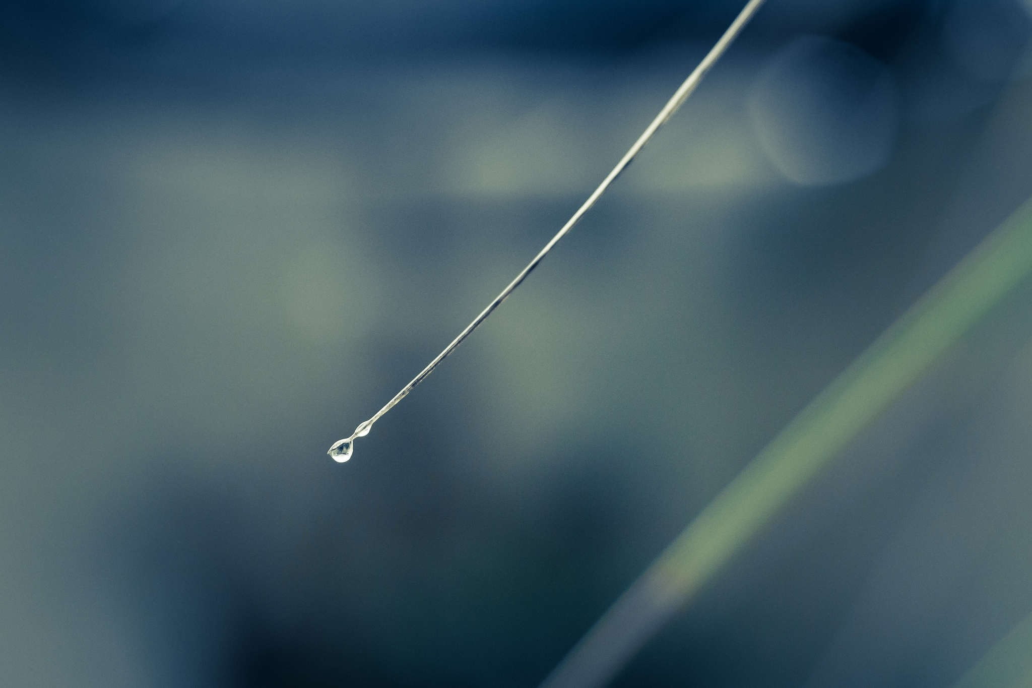 macro