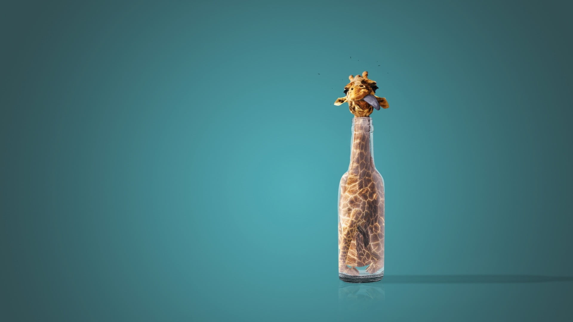 giraffe in bottle illustration, humor, bottles, studio shot, colored background