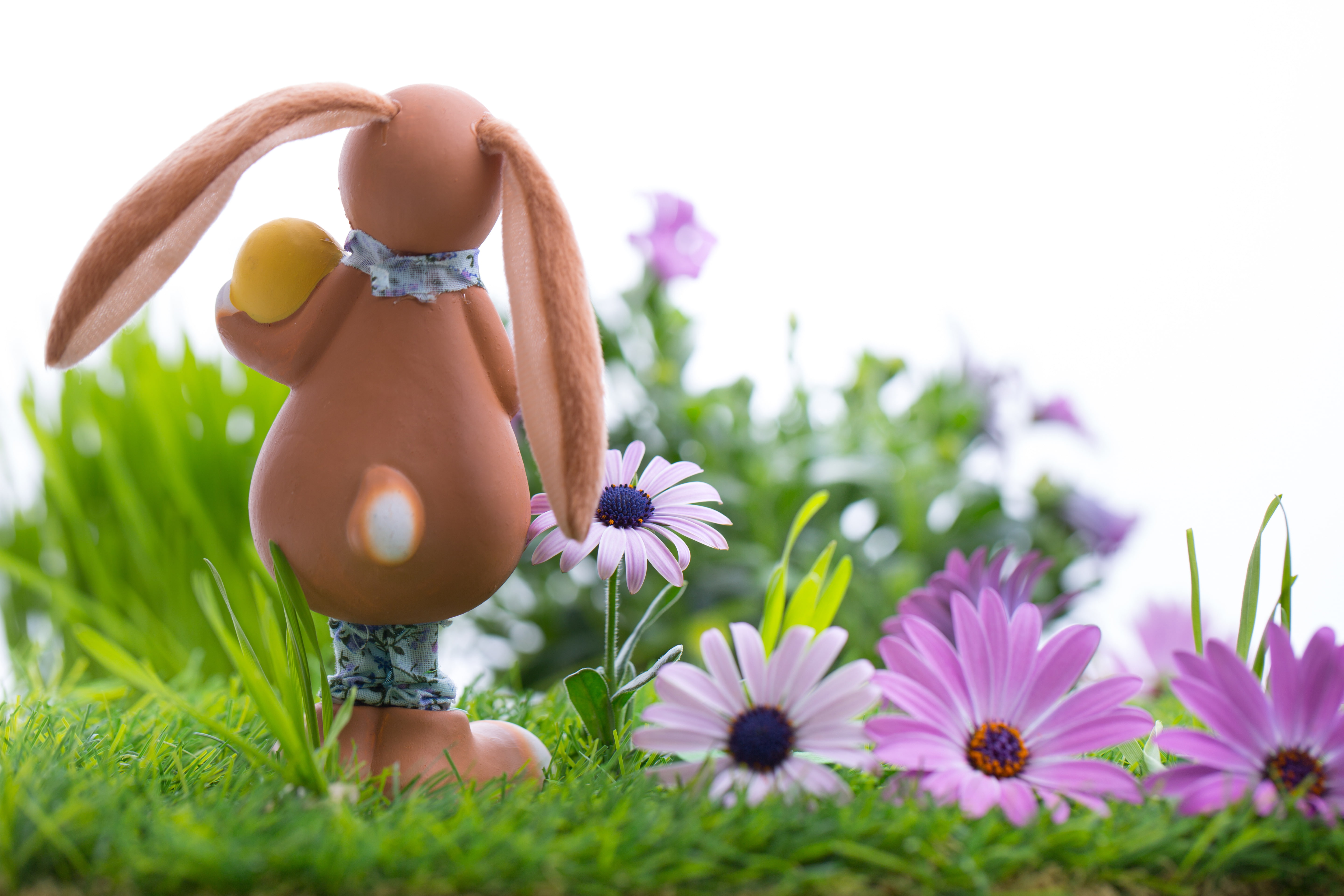 eggs, Easter, Easter eggs, happy easter