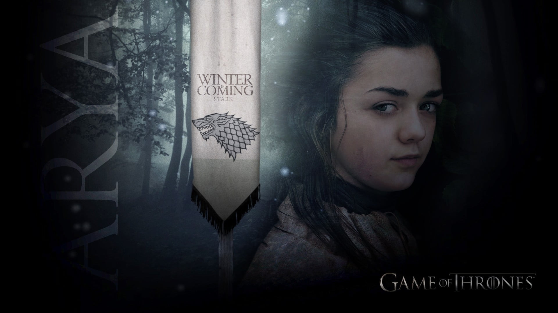Game of Thrones Winter Coming digital wallpaper, Arya Stark, Maisie Williams