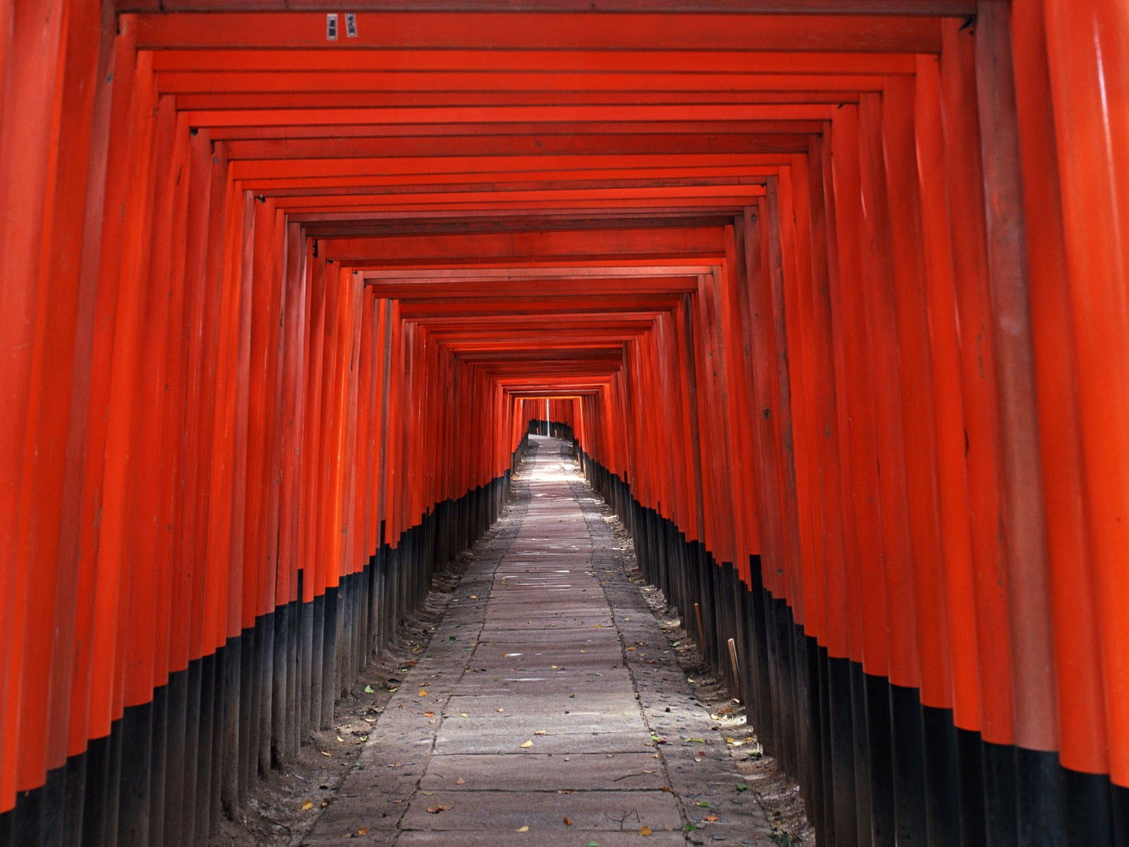 Torii gate, Red, Japan, Corridor, architecture, asia, cultures