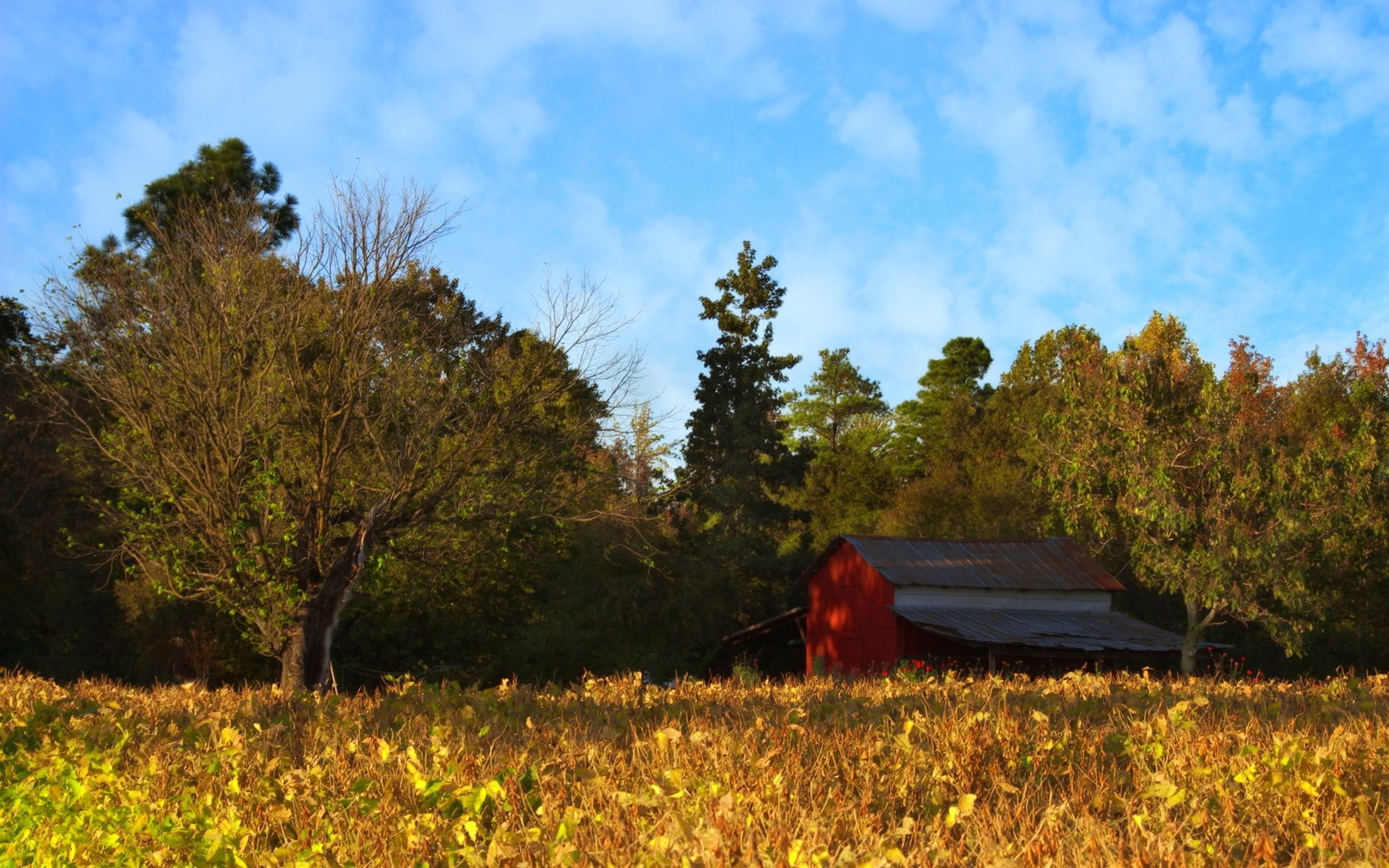 barn