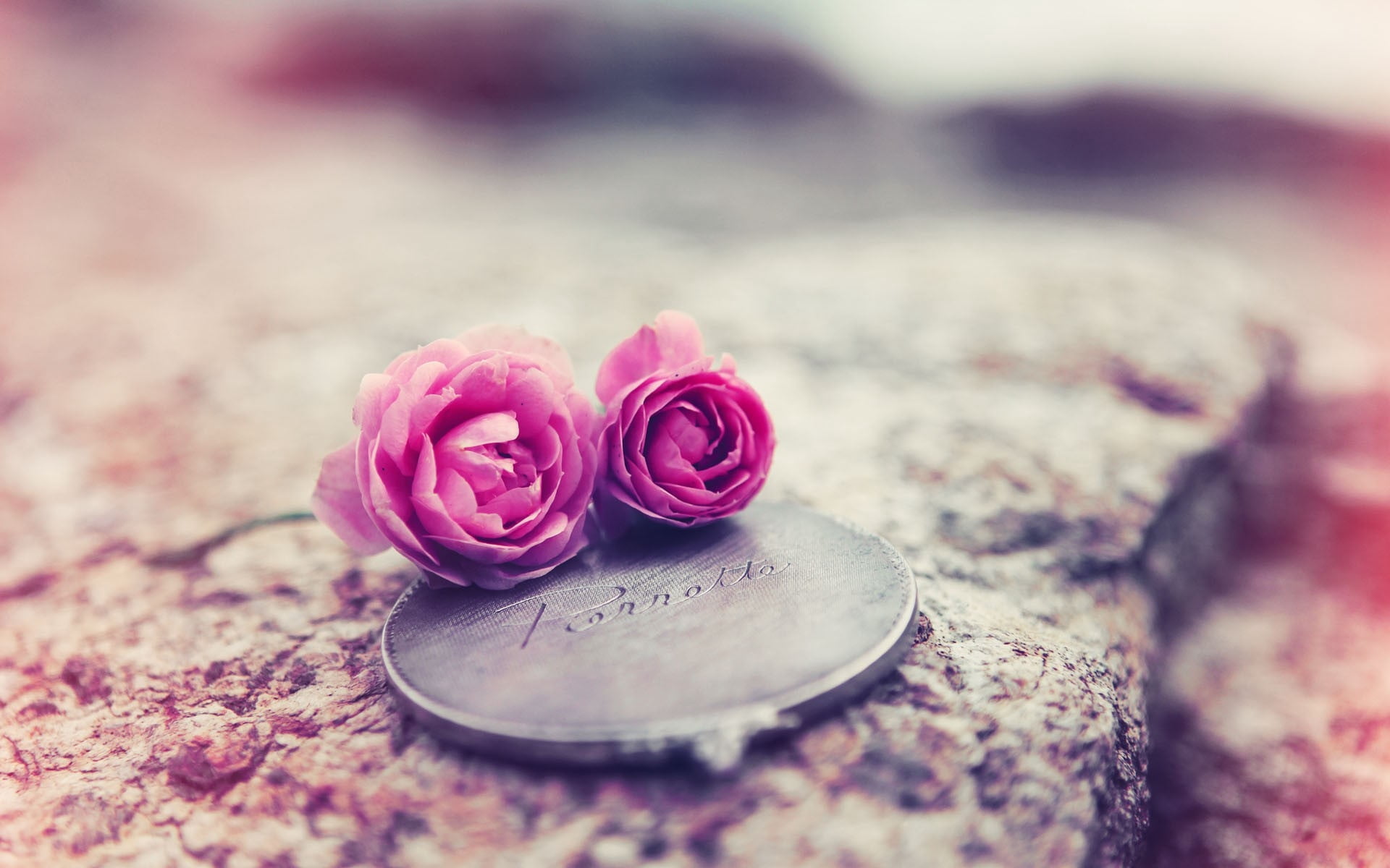 two pink roses, flowers, couple, medallions, rose - Flower, love