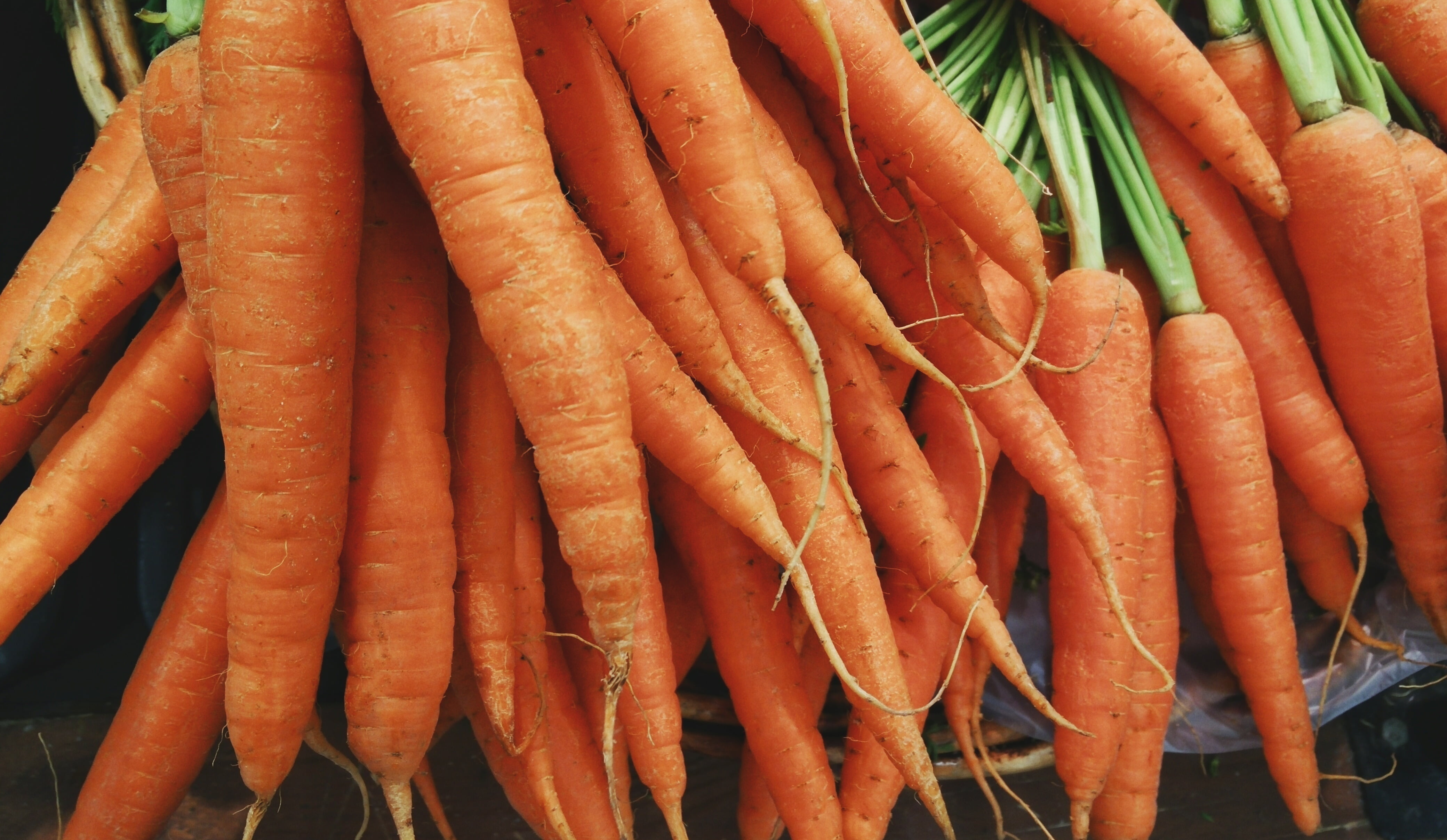 carrot lot, carrots, vegetables, many, food, freshness, organic