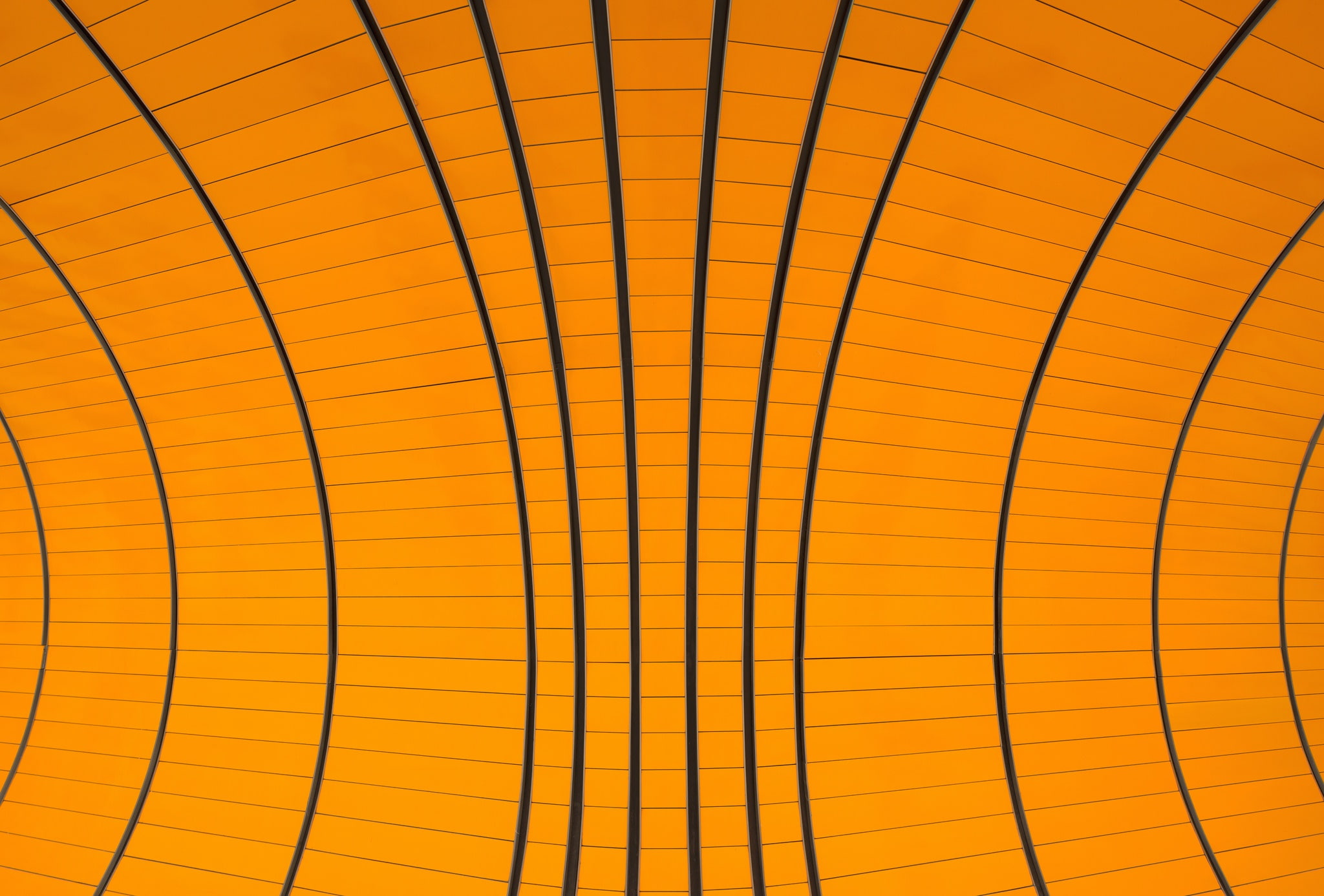 Orange, pattern, Texture