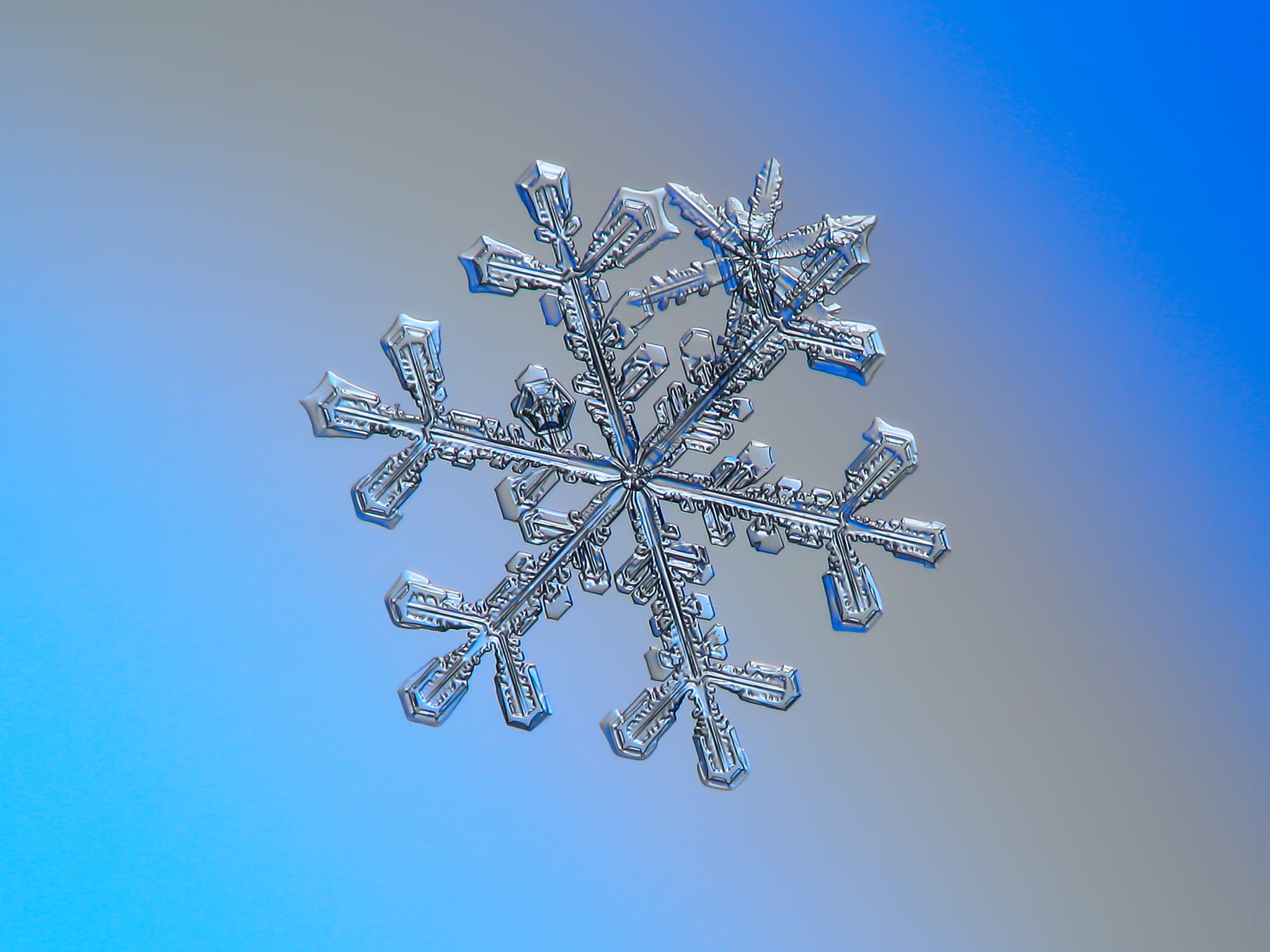 snowflake artwork, macro, 3-in-1, photo, snow  crystal, crystal  symmetry