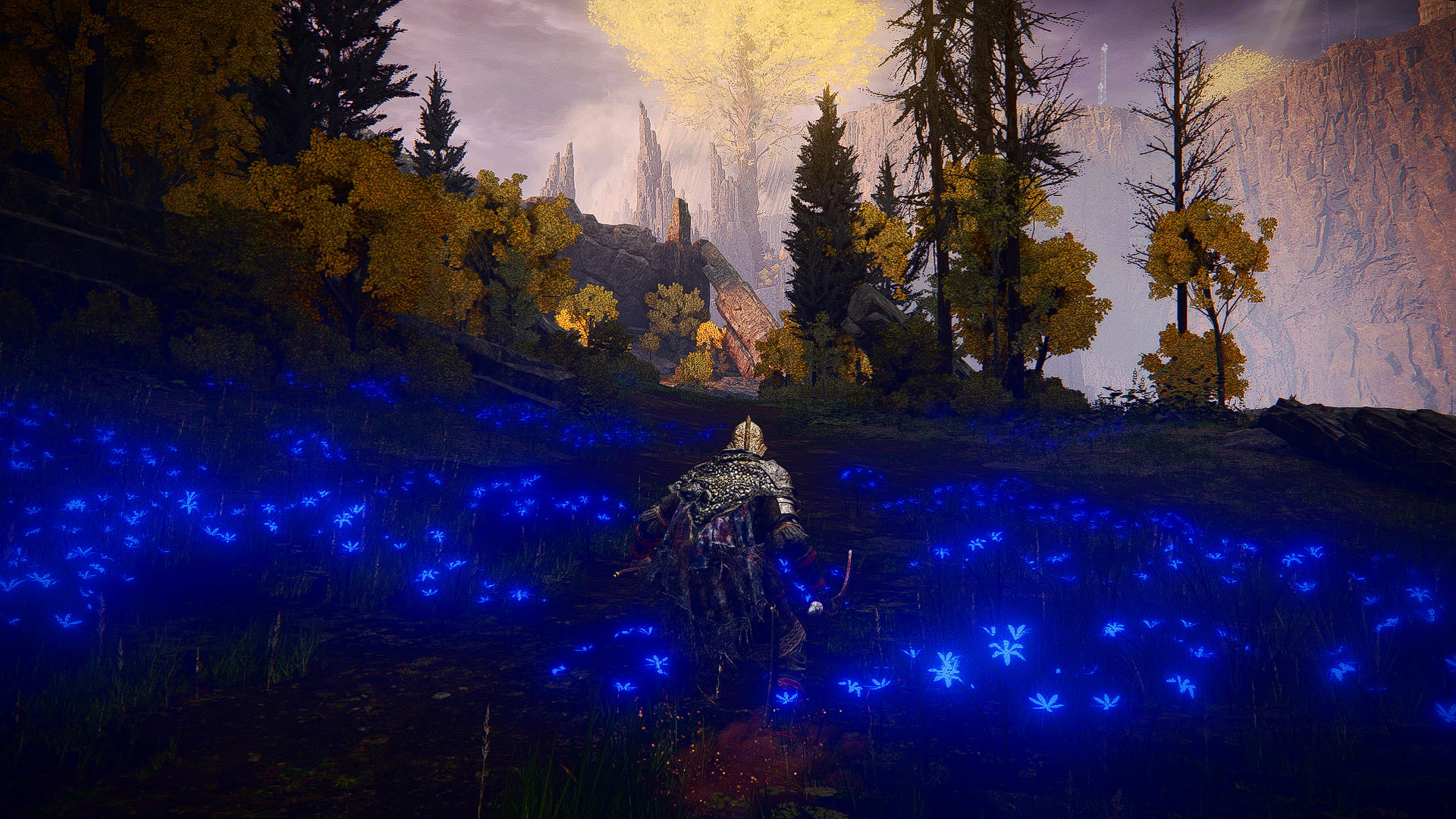 From Software, Elden Ring