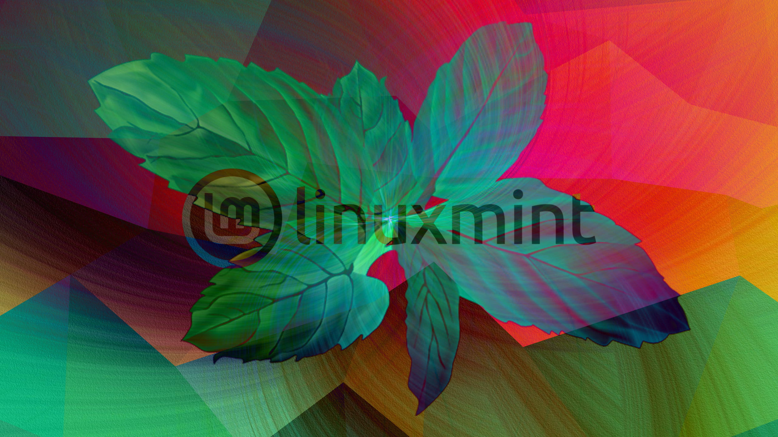 Linux, Linux Mint, texture, artwork