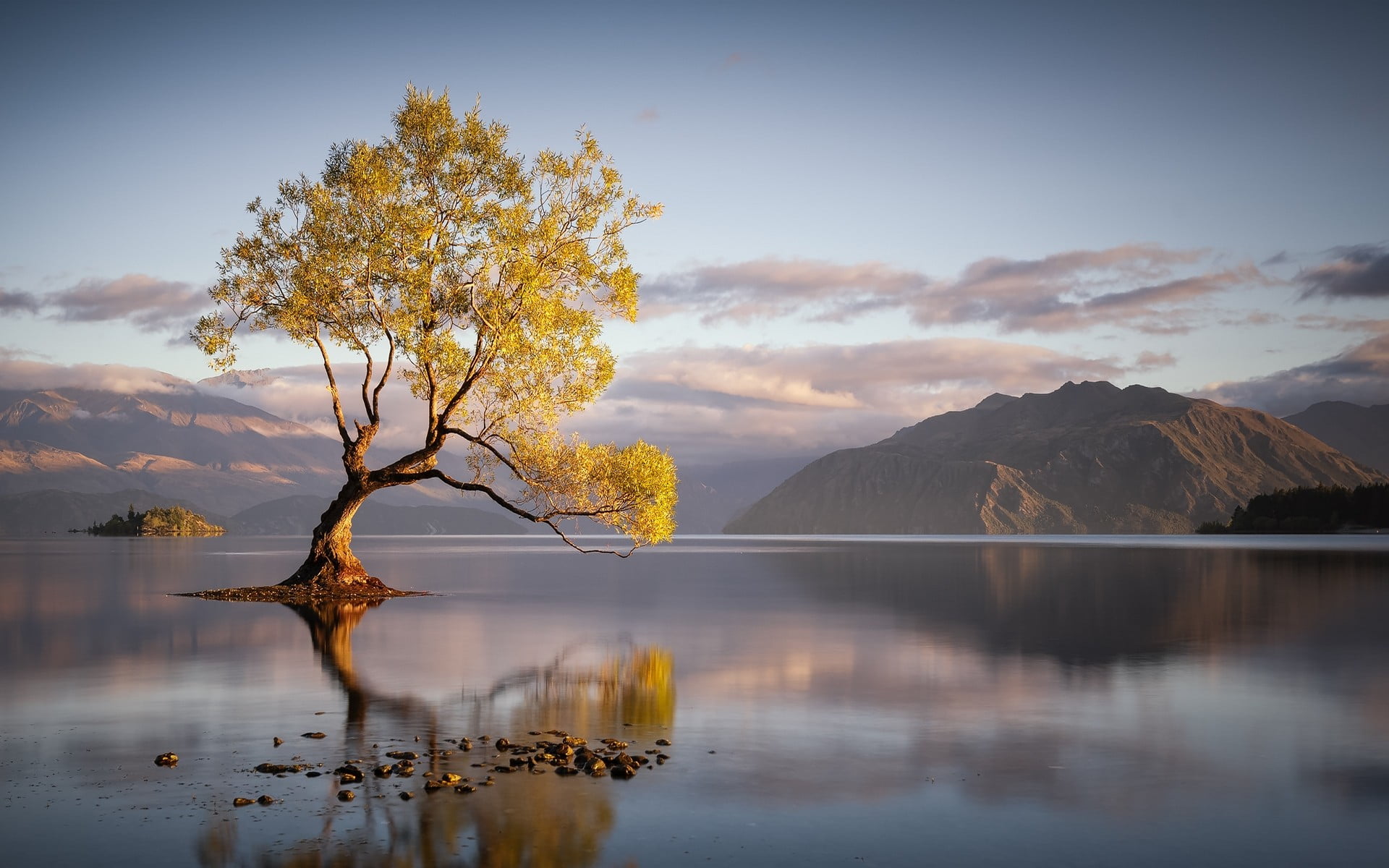 green leafed tree, landscape, nature, lake, trees, mountains