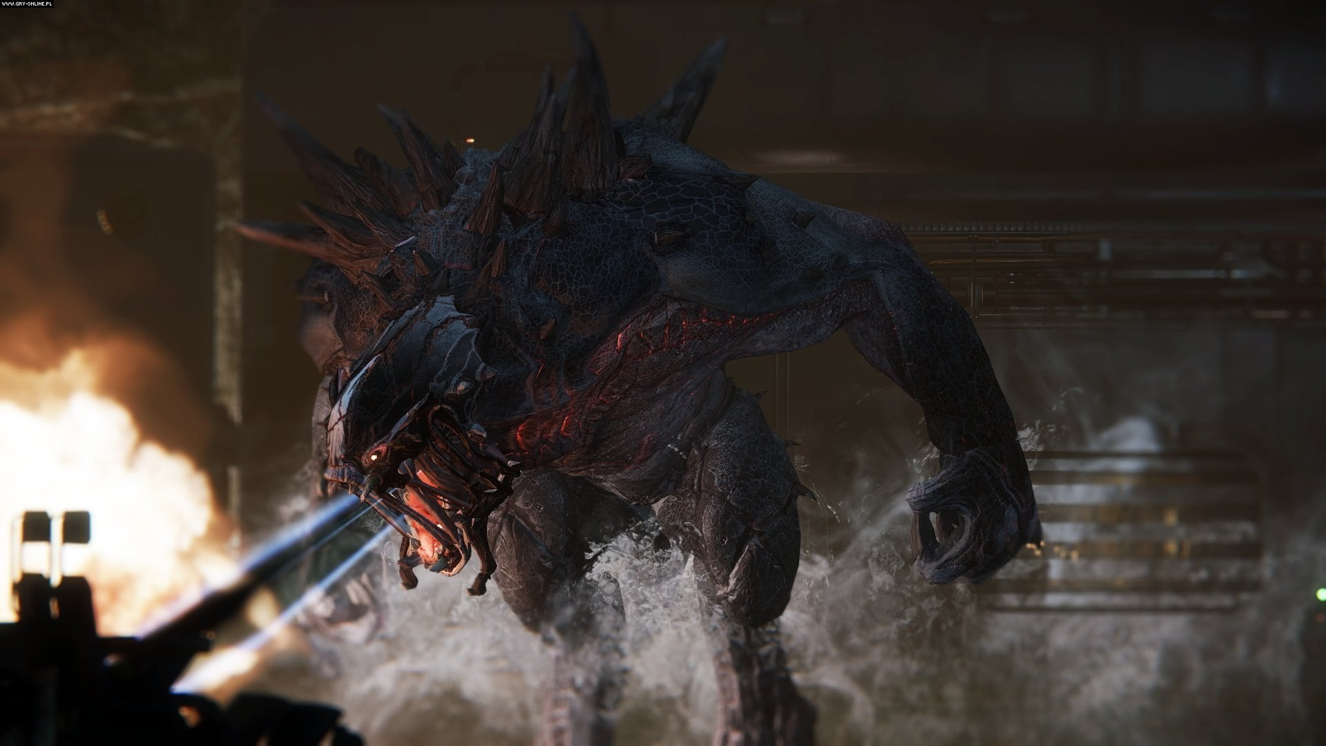 evolve