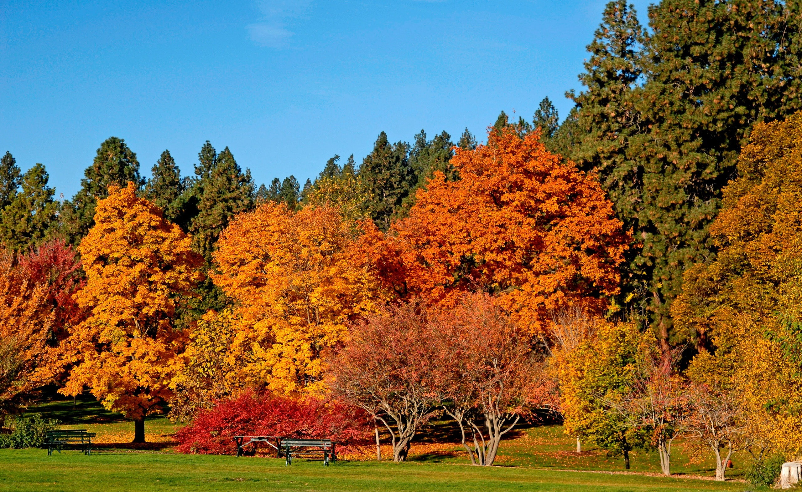 Park Fall, Seasons, Autumn