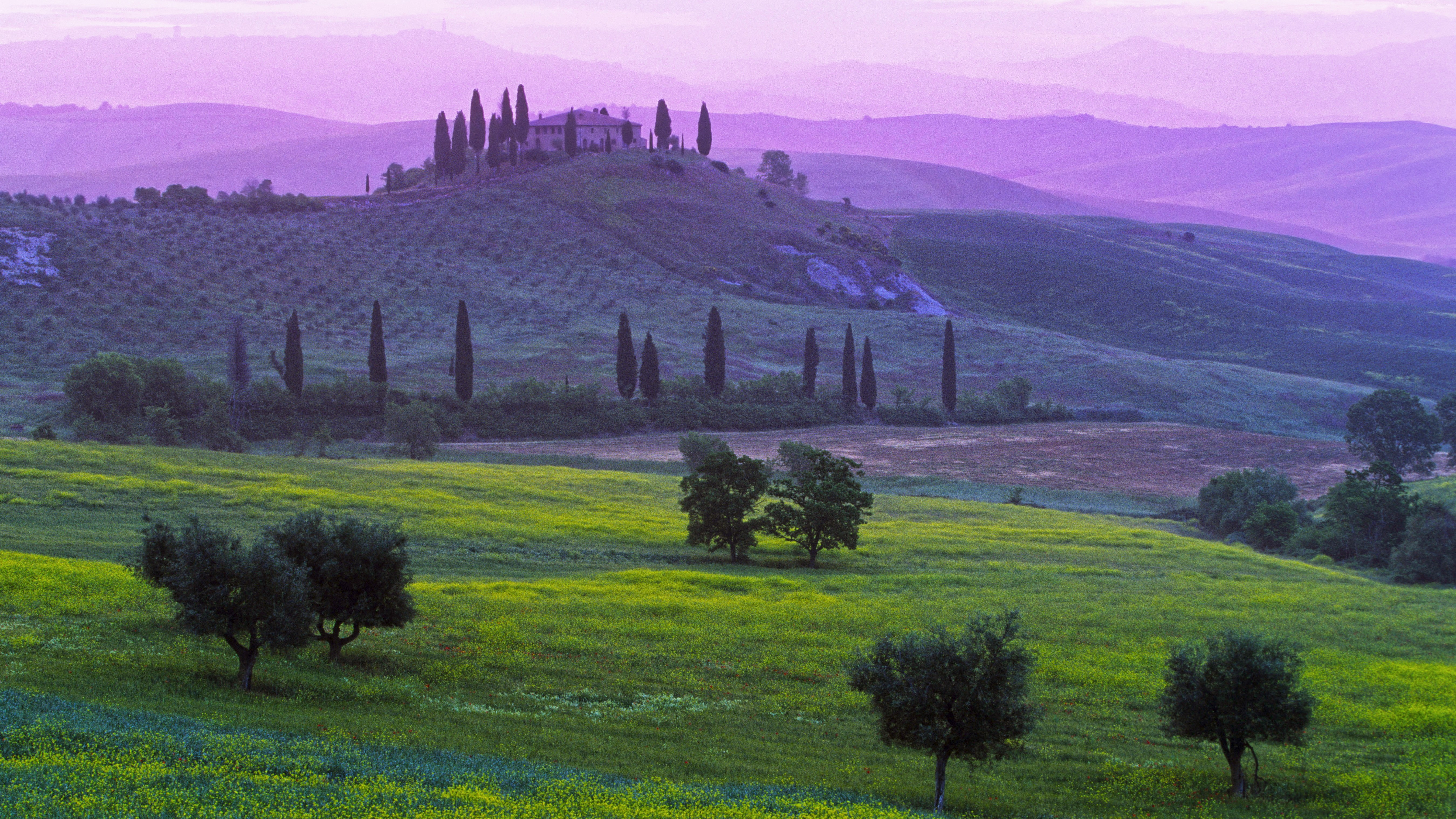 Podere Belvedere Hotel, green, meadows, booking, nature, Tuscany
