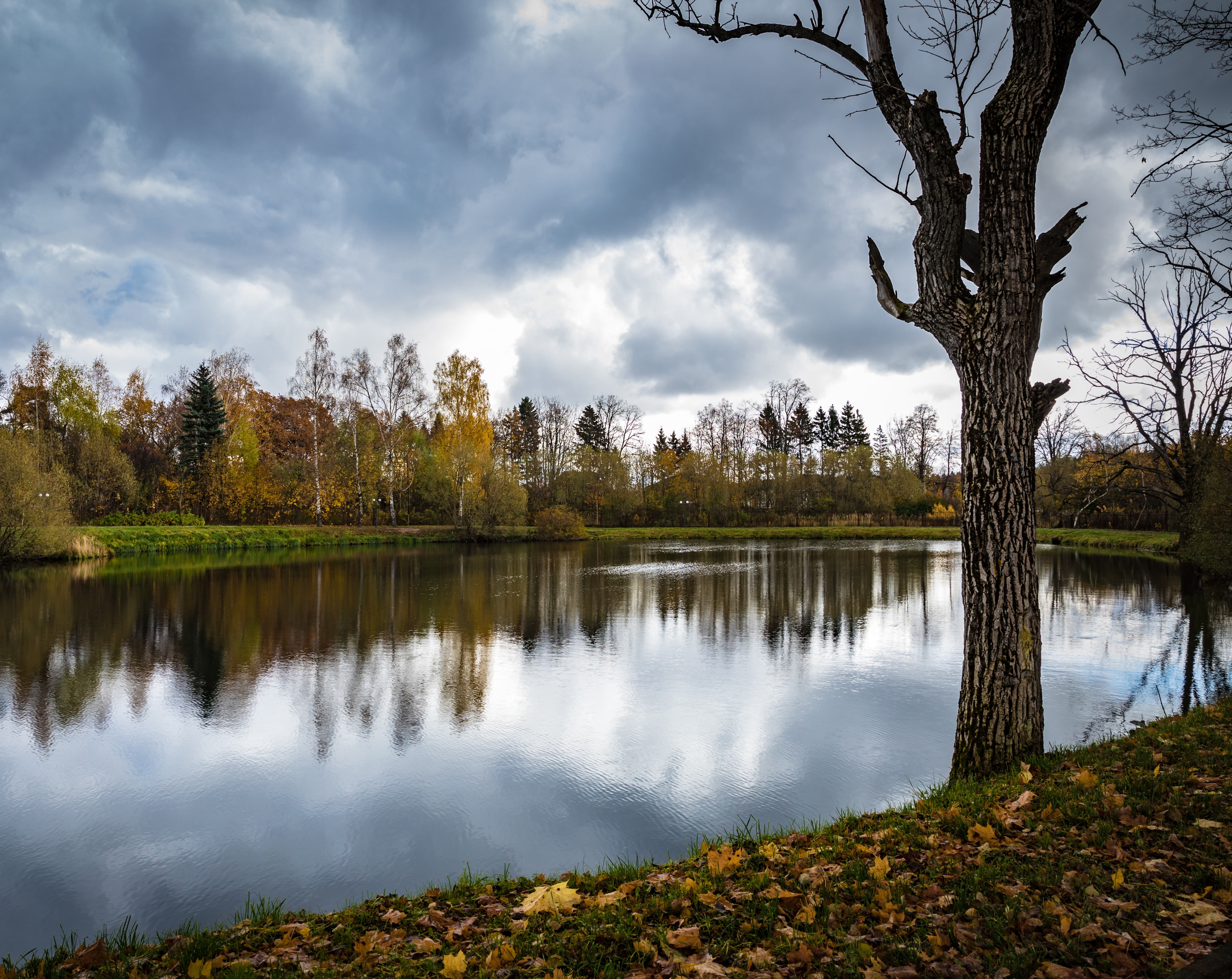Lake, Nature, Lakes, Autumn, Cloudy, Fall, stormclouds, tree