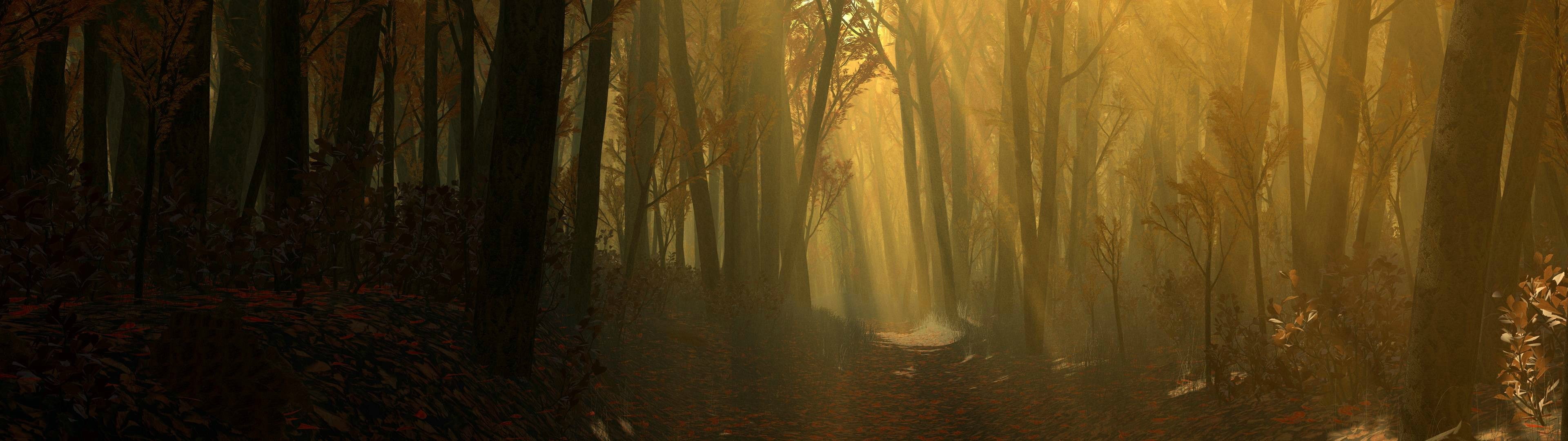 multiple display forest path leaves
