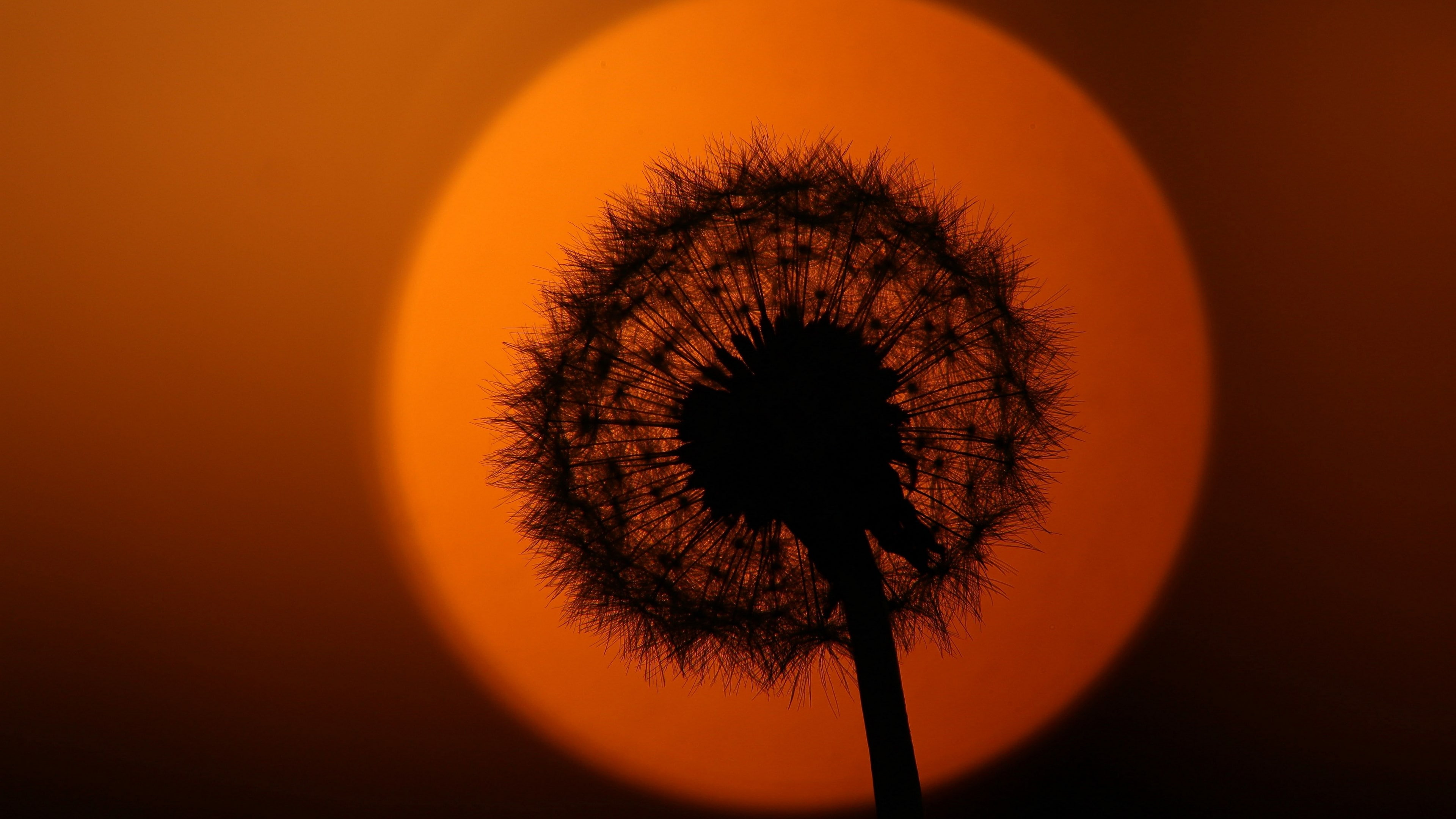 4k  computer  background