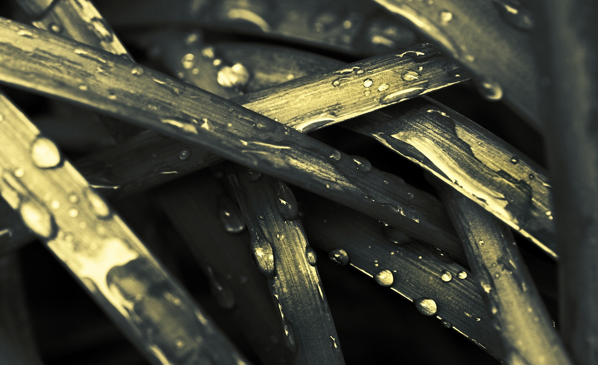 Another Perspective 8, Aero, Creative, wet, water, drop, close-up
