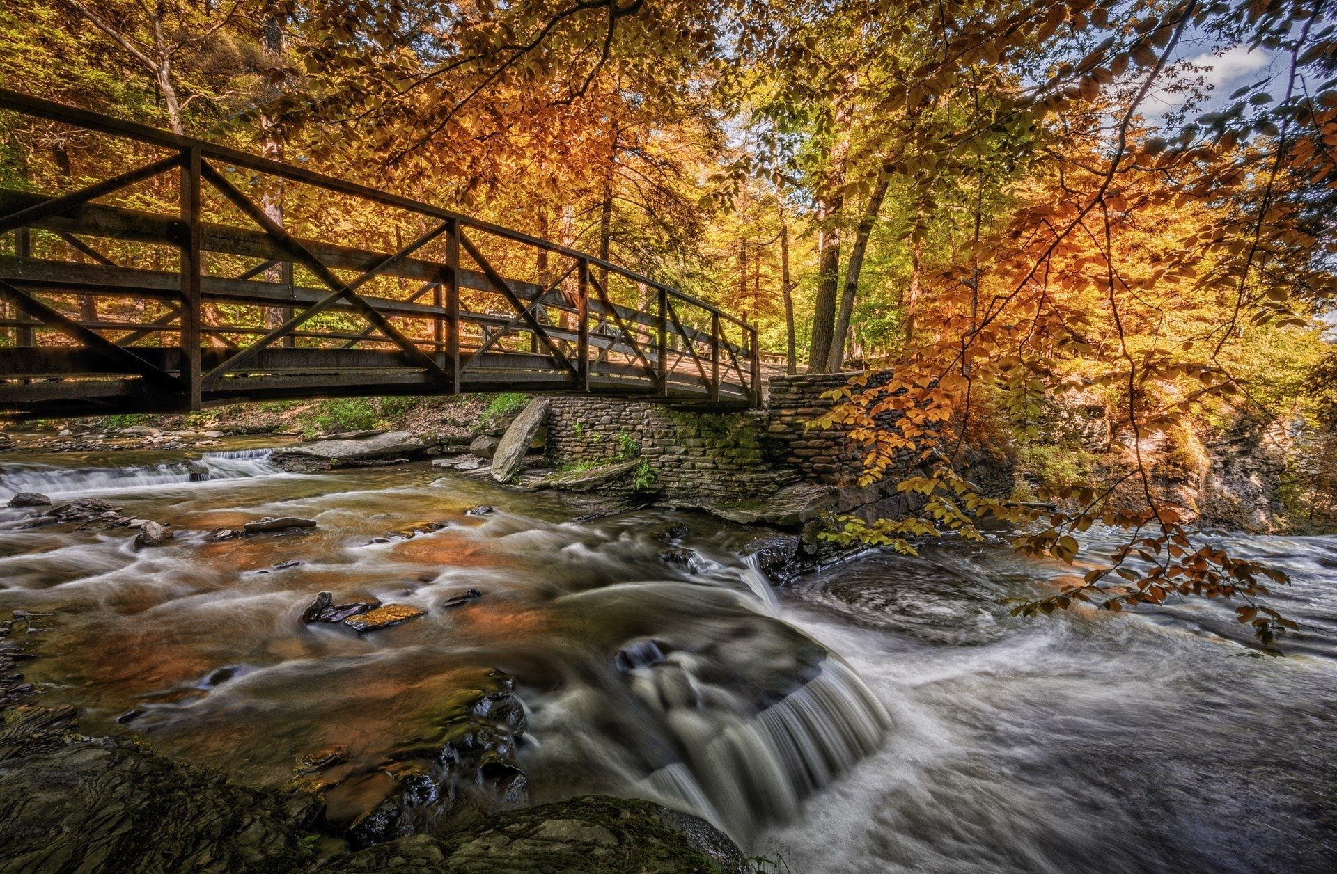 Bridges, Fall, Forest, Stream