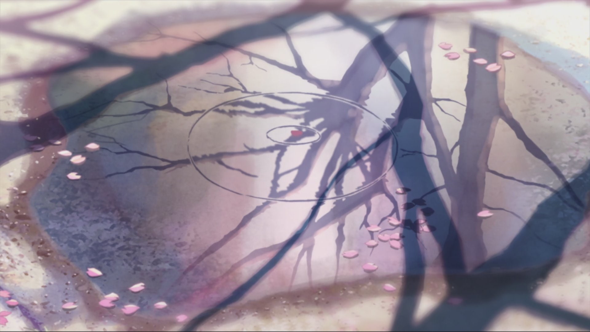 anime, centimeters, per, second, show