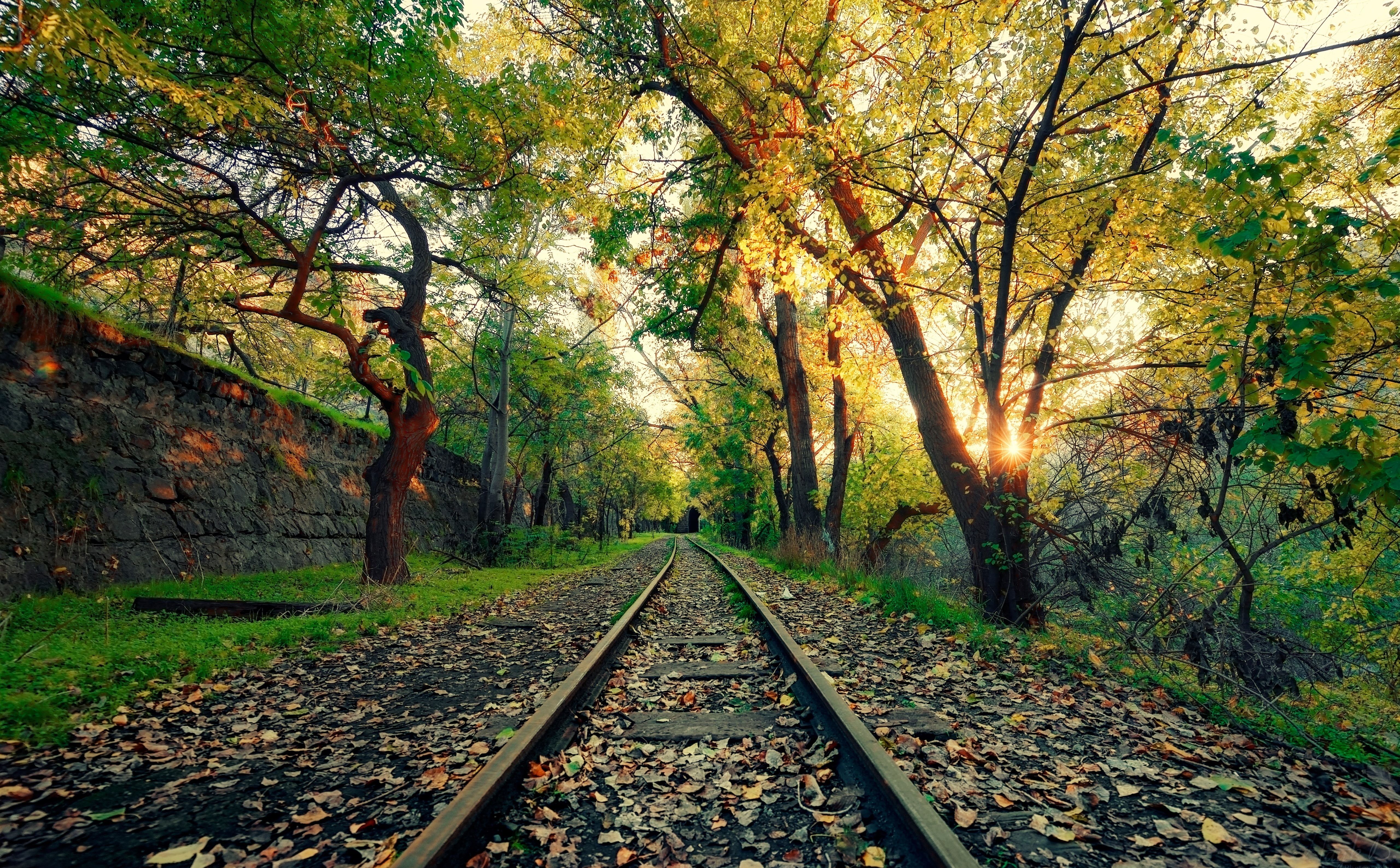 Armenia, Yerevan, black steel railway, Seasons, Autumn, Green