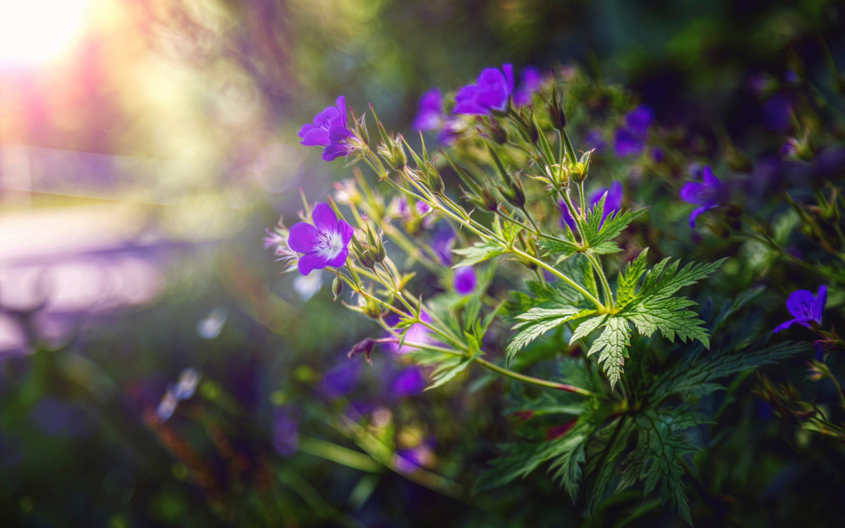 Flowers processing, leaves