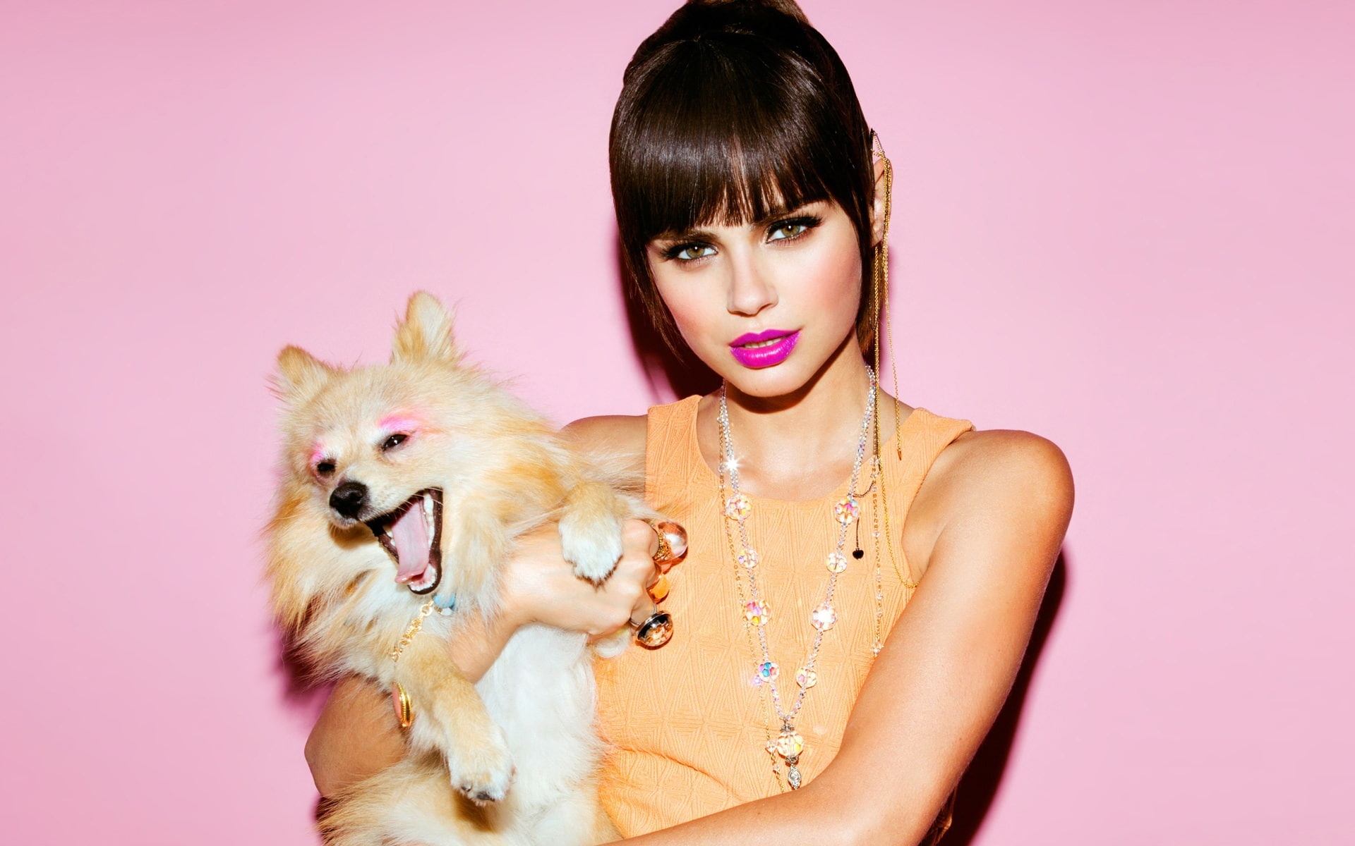 look, background, model, dog, makeup, lips, Xenia Deli