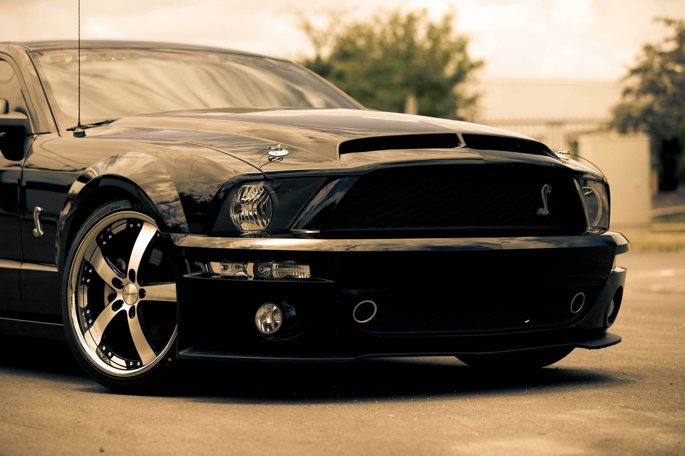 Shelby, Ford, car