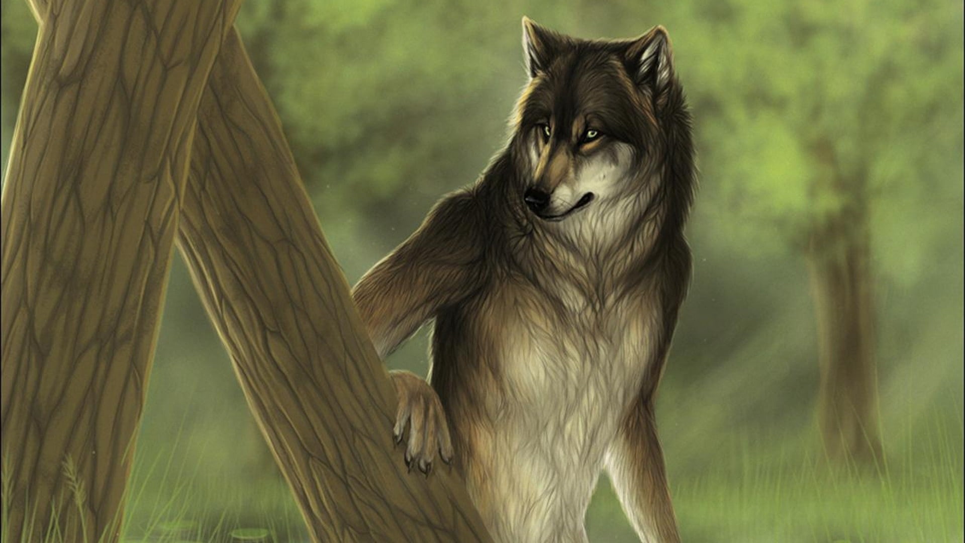 fantasy art, wolf, Anthro, animals, animal themes, mammal, animal wildlife