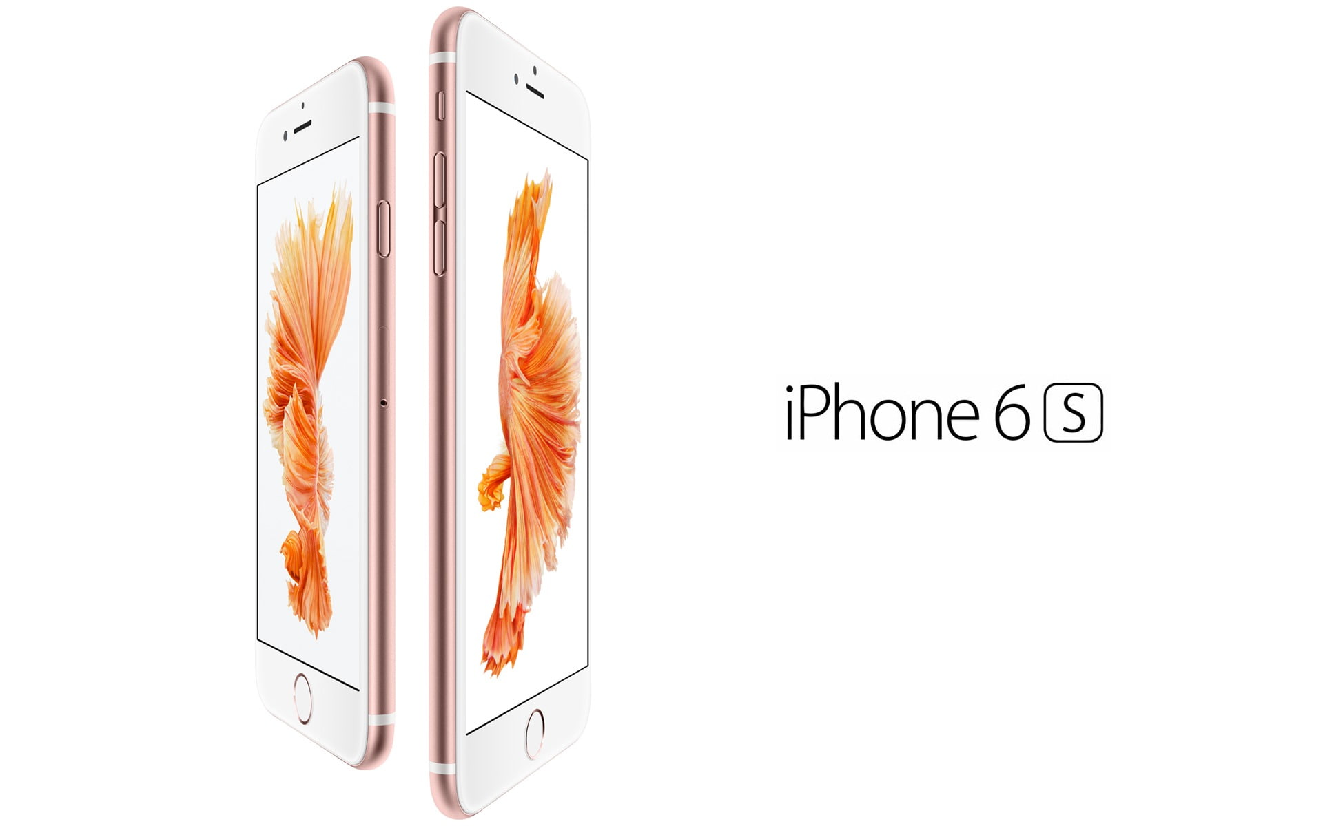 iPhone 6s Apple 2015 HD Desktop Wallpaper 03, text, white background