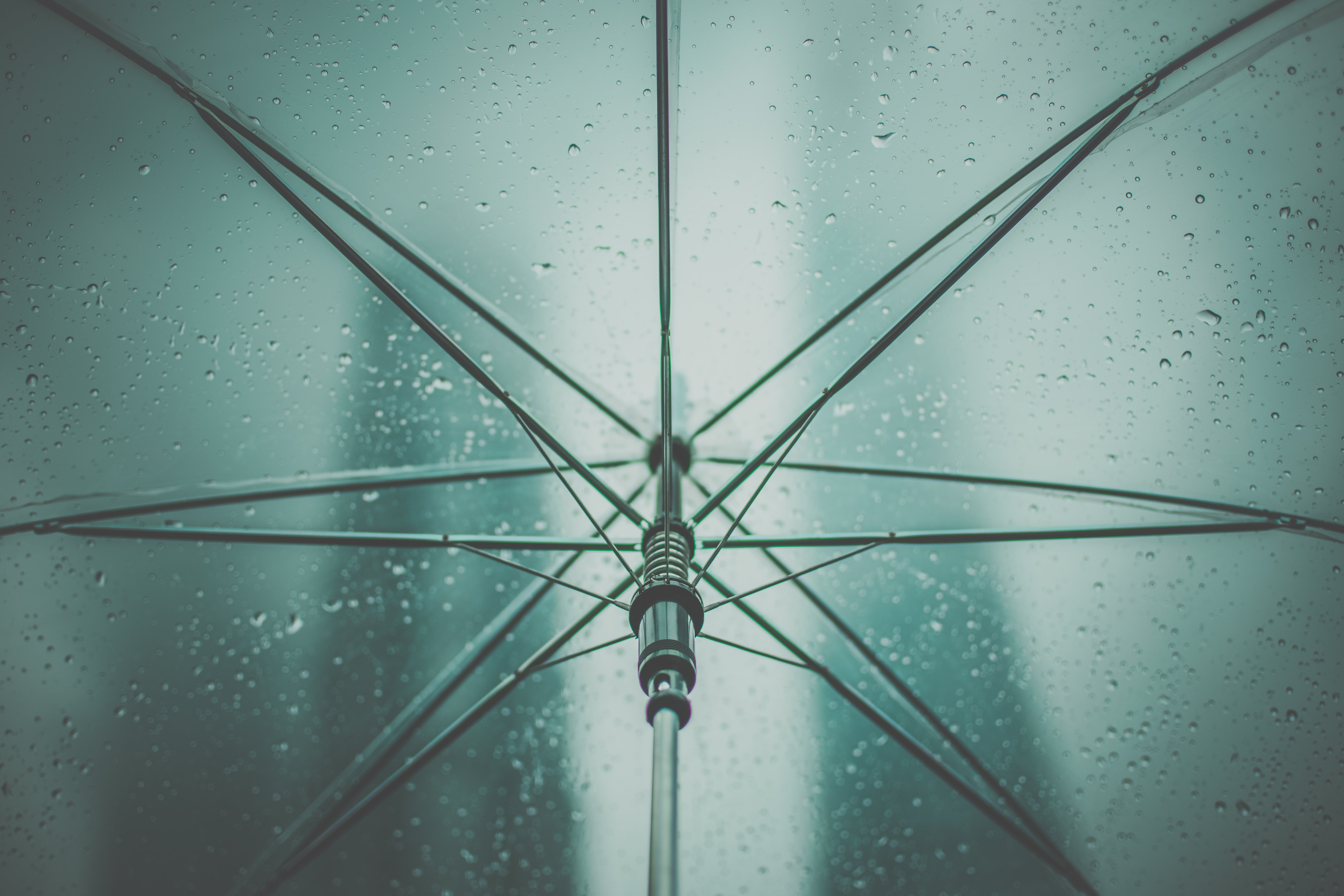 transparent umbrella, rain, drops, abstract, backgrounds, close-up
