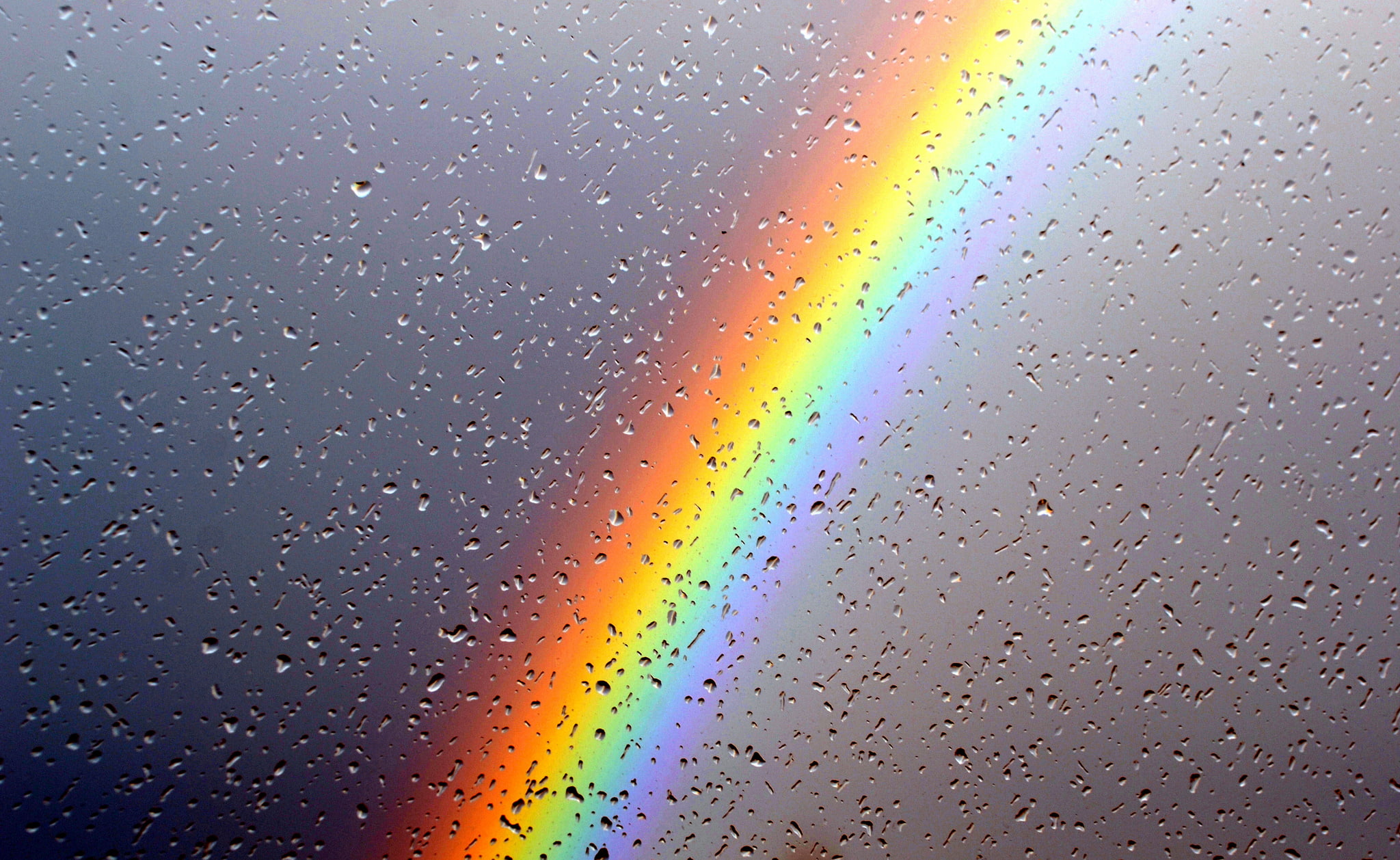 rainbows, water drops, multi colored, wet, backgrounds, no people