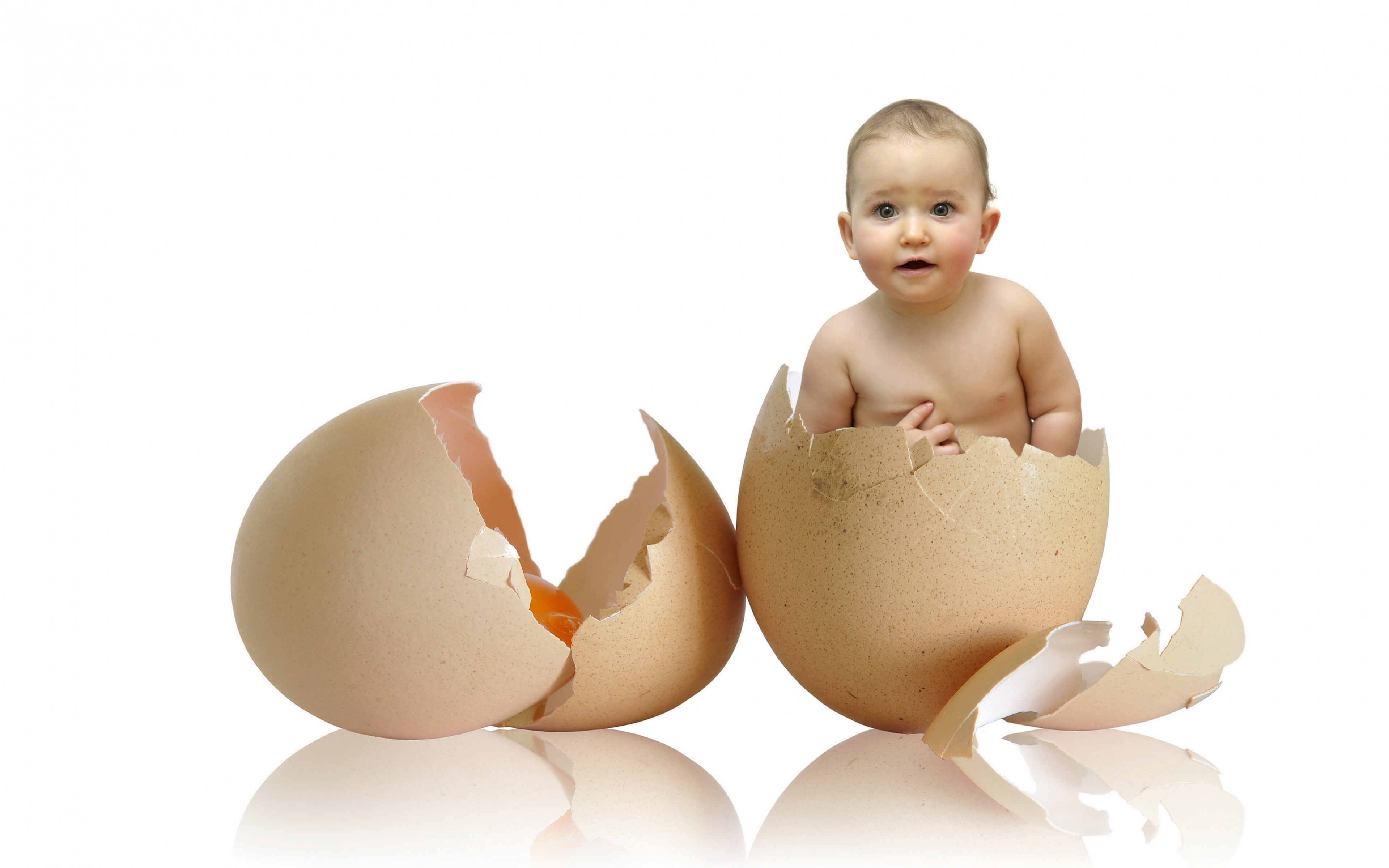 child, shell backgrounds, Egg, Funny