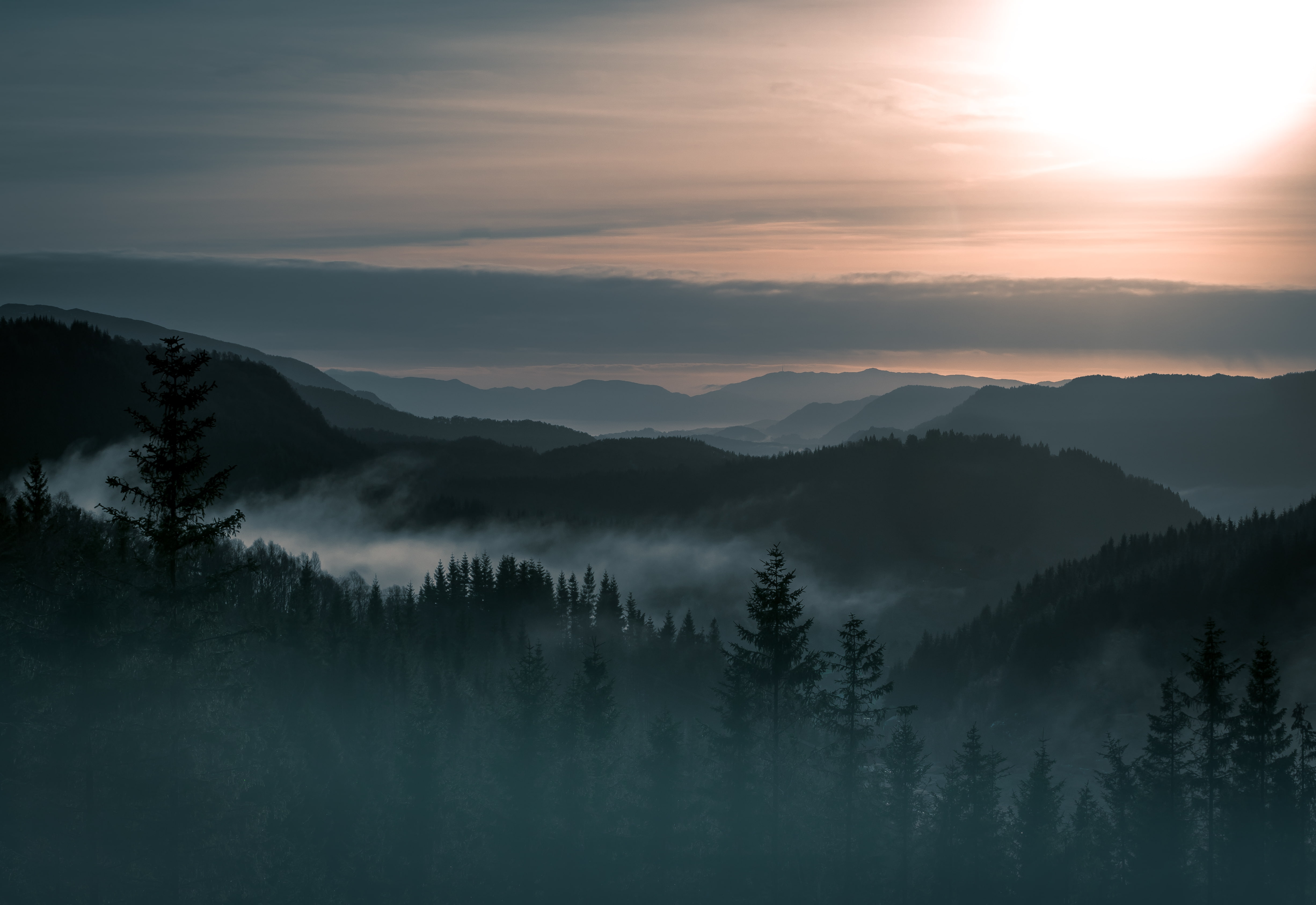 4K, Norway, Mountains, Fog, Forest