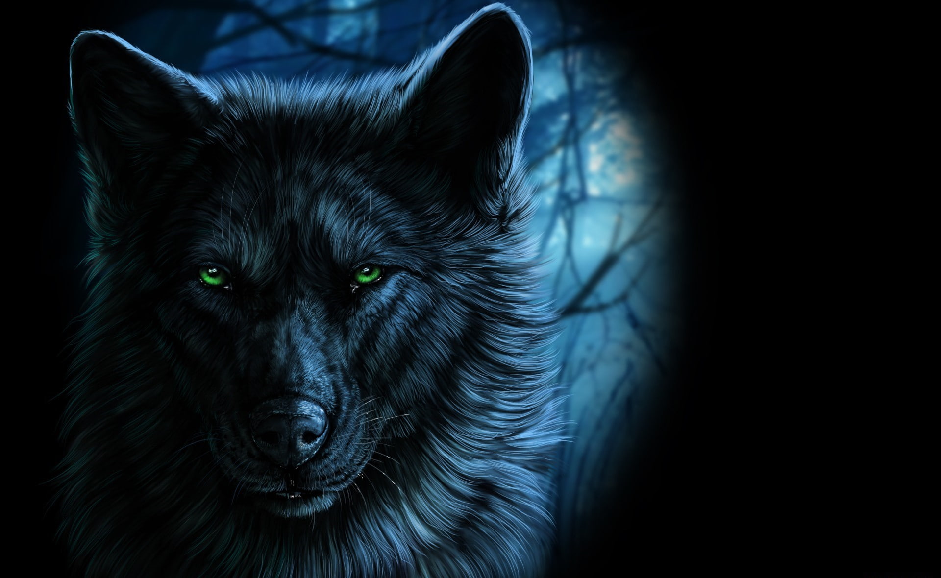 animals, fantasy art, wolf, artwork, one animal, animal themes