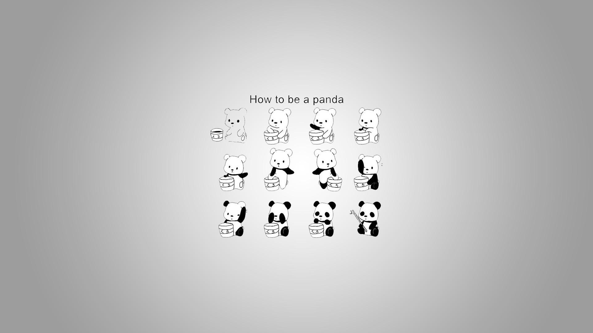 How to be a panda, how to be a panda illustration, funny, 1920x1080