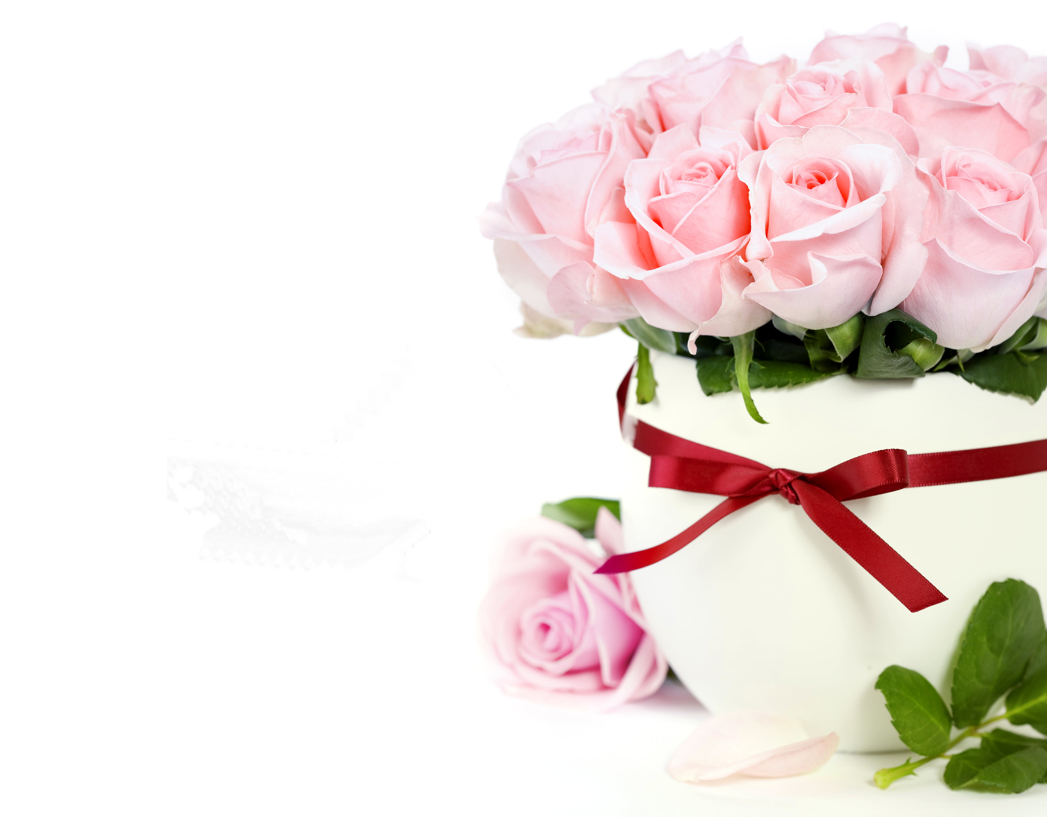 pink rose flower arrangement and white ceramic vase, flowers