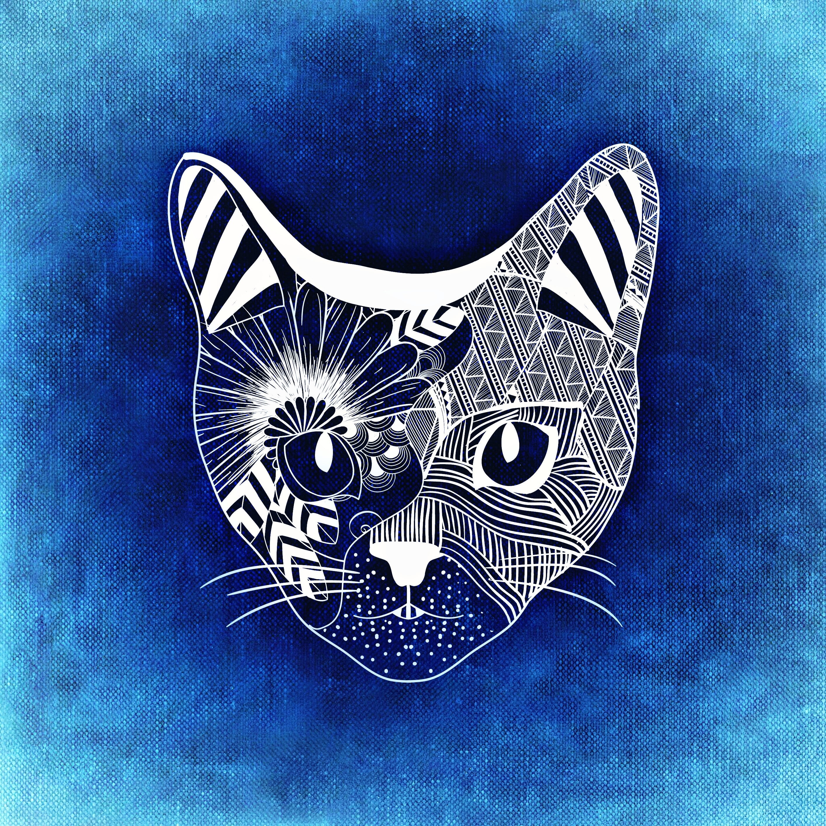 cat face illustration, art, muzzle, patterns, blue, no people