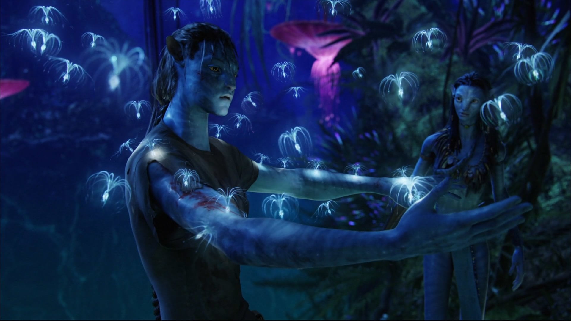 Avatar movie still screenshot, Jake Sully, Na'vi, Neytiri (Avatar)