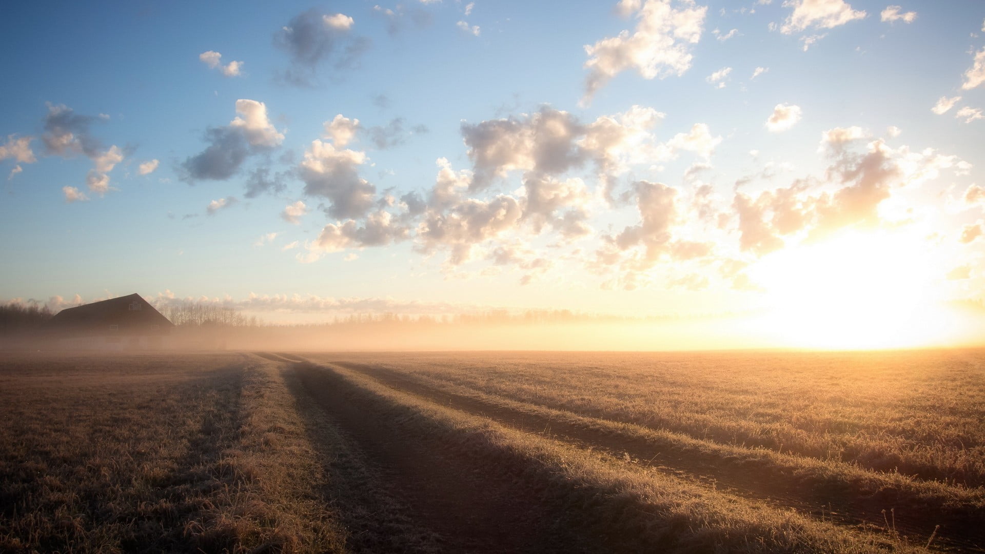 brown wheat fields, nature, landscape, sky, environment, cloud - sky