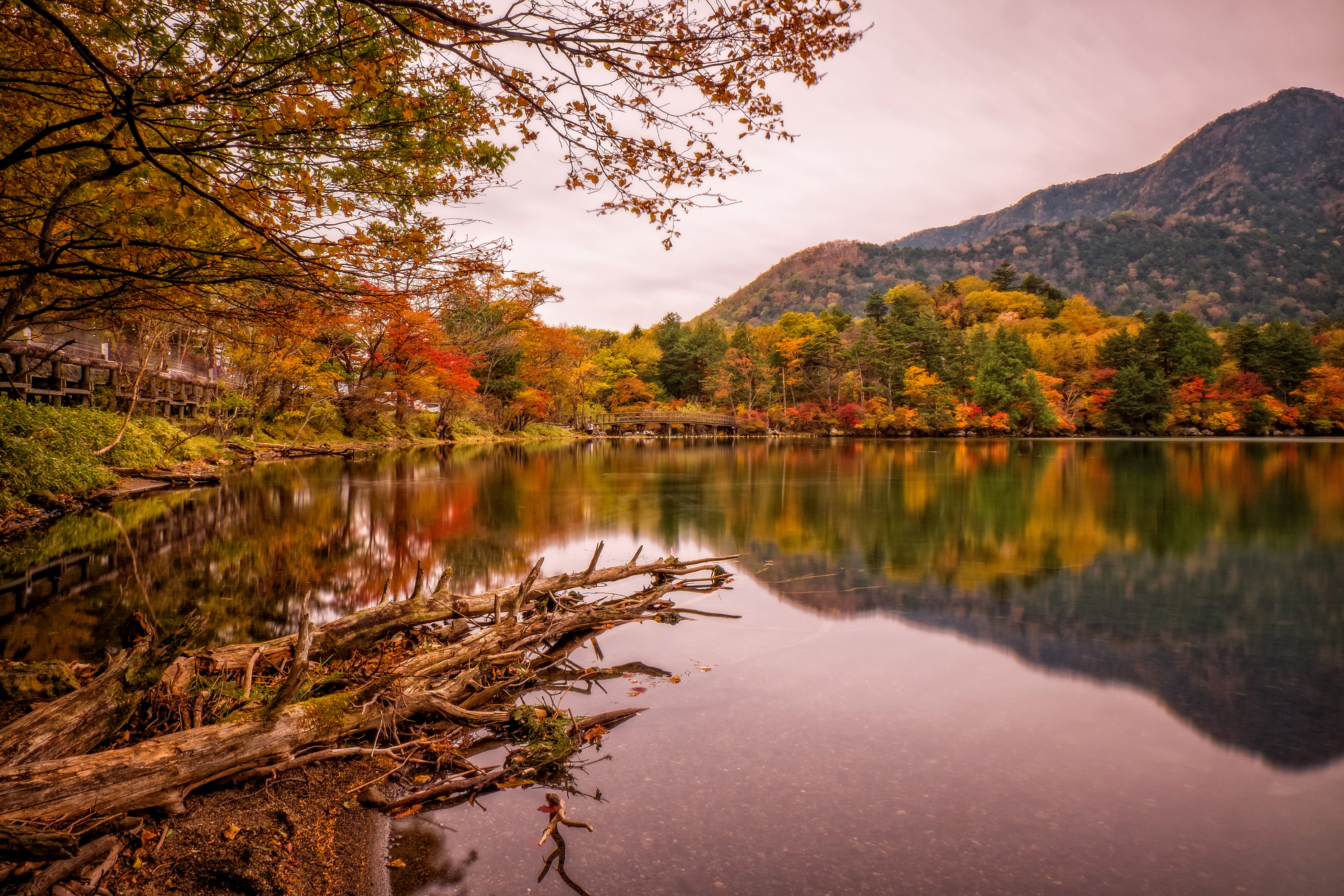 autumn, trees, mountains, bridge, lake, Park, Japan, Nikko