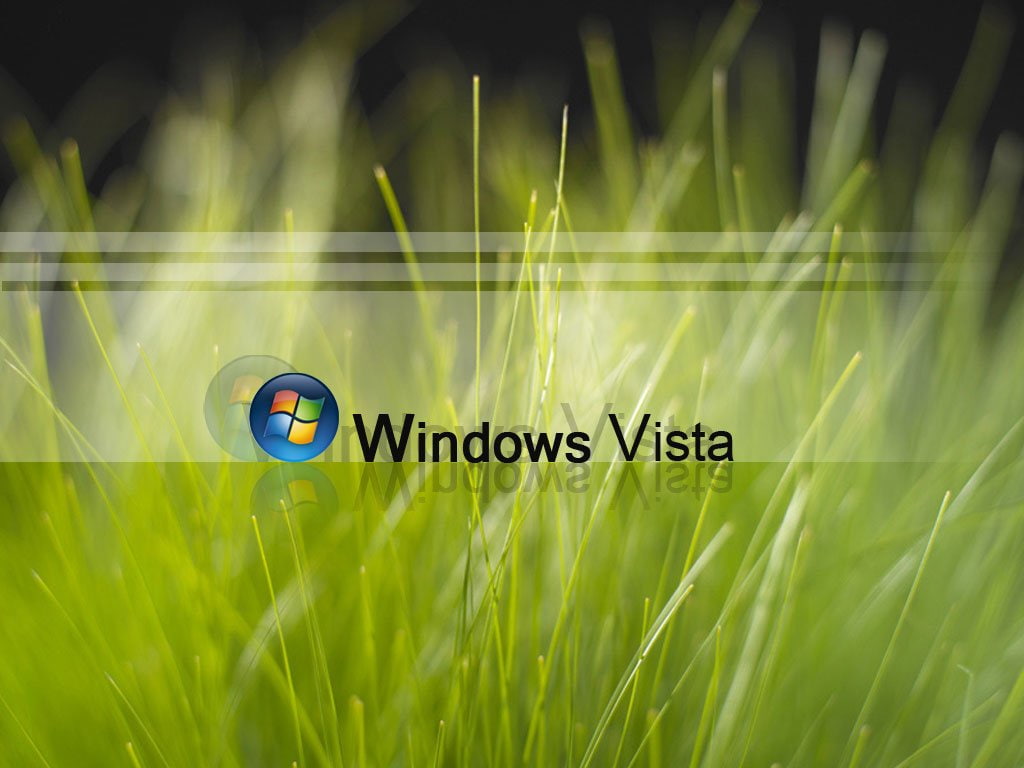 Windows, Windows Vista, green color, communication, grass, plant