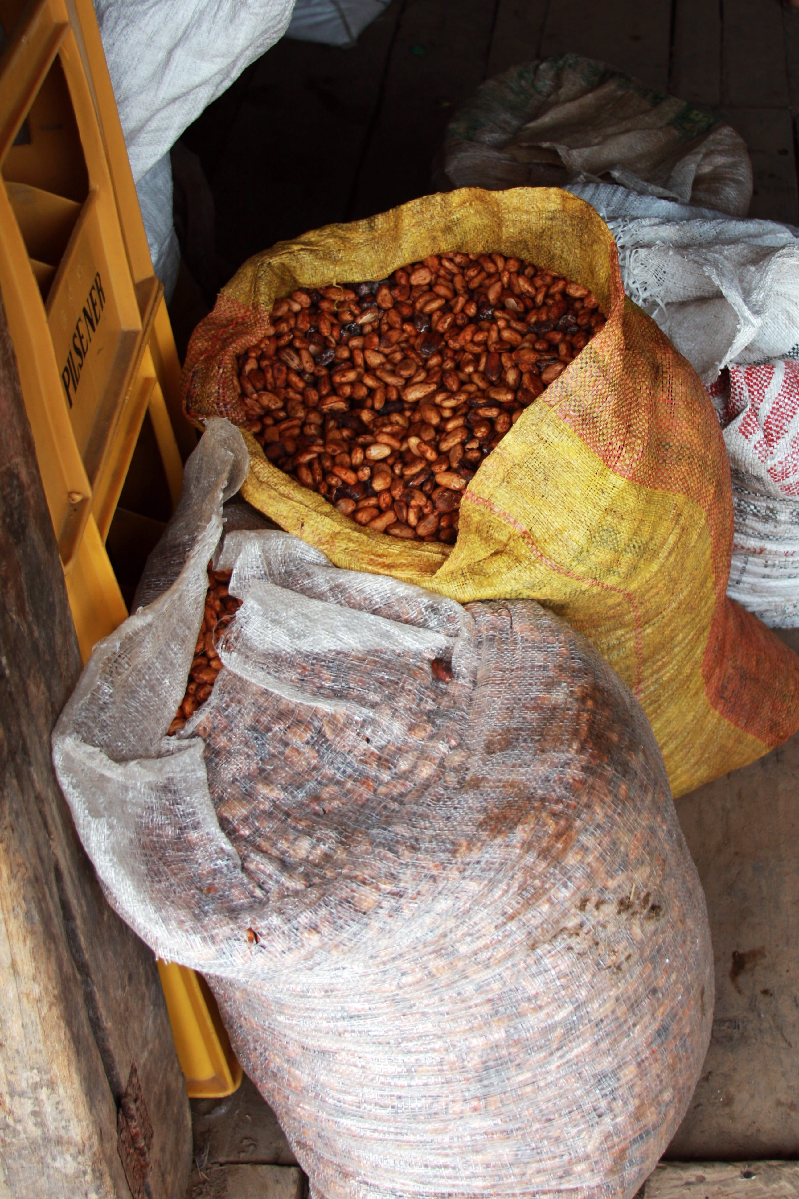 cocoa beans, food and drink, freshness, no people, sack, wellbeing