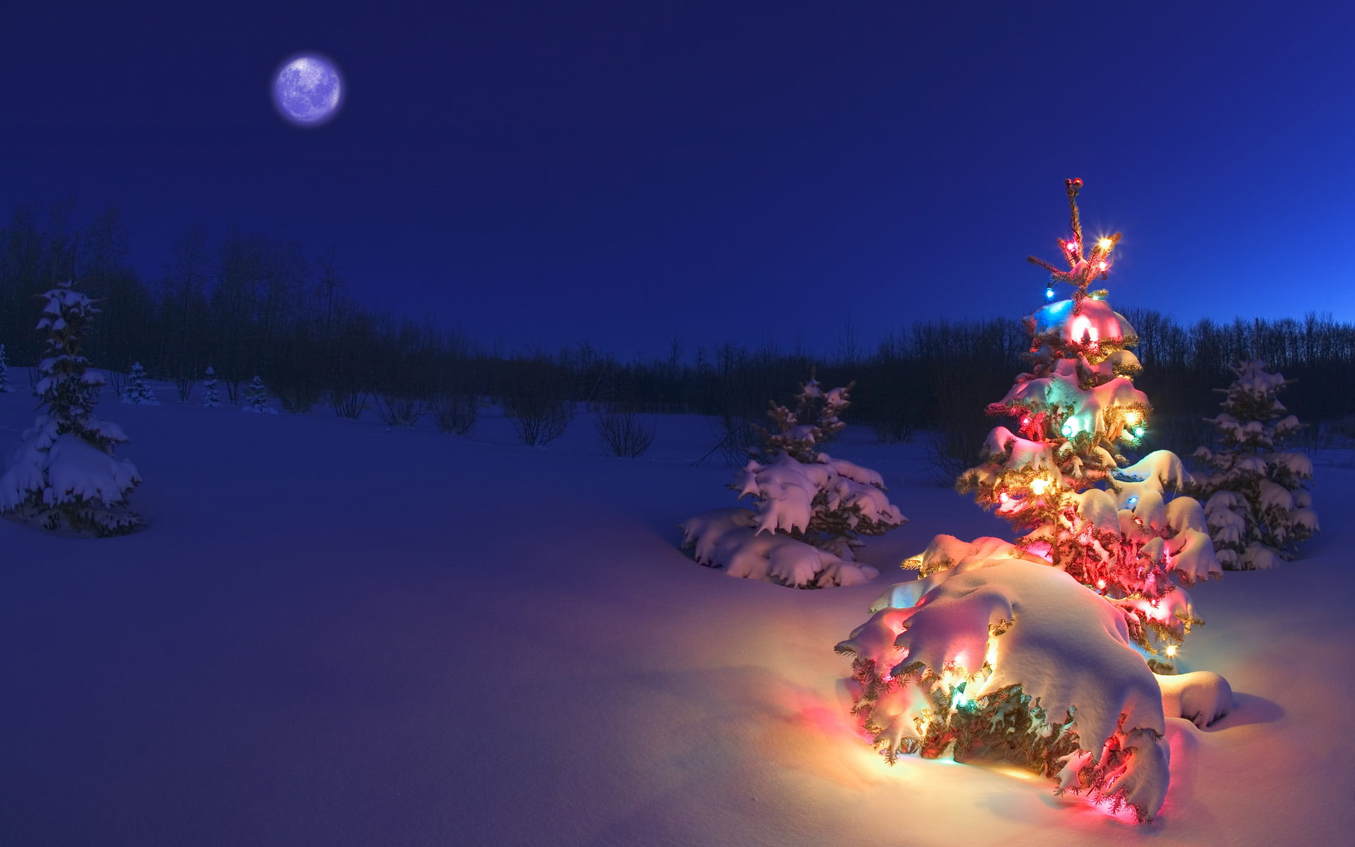 Christmas tree wallpaper, holiday, christmas lights, landscape