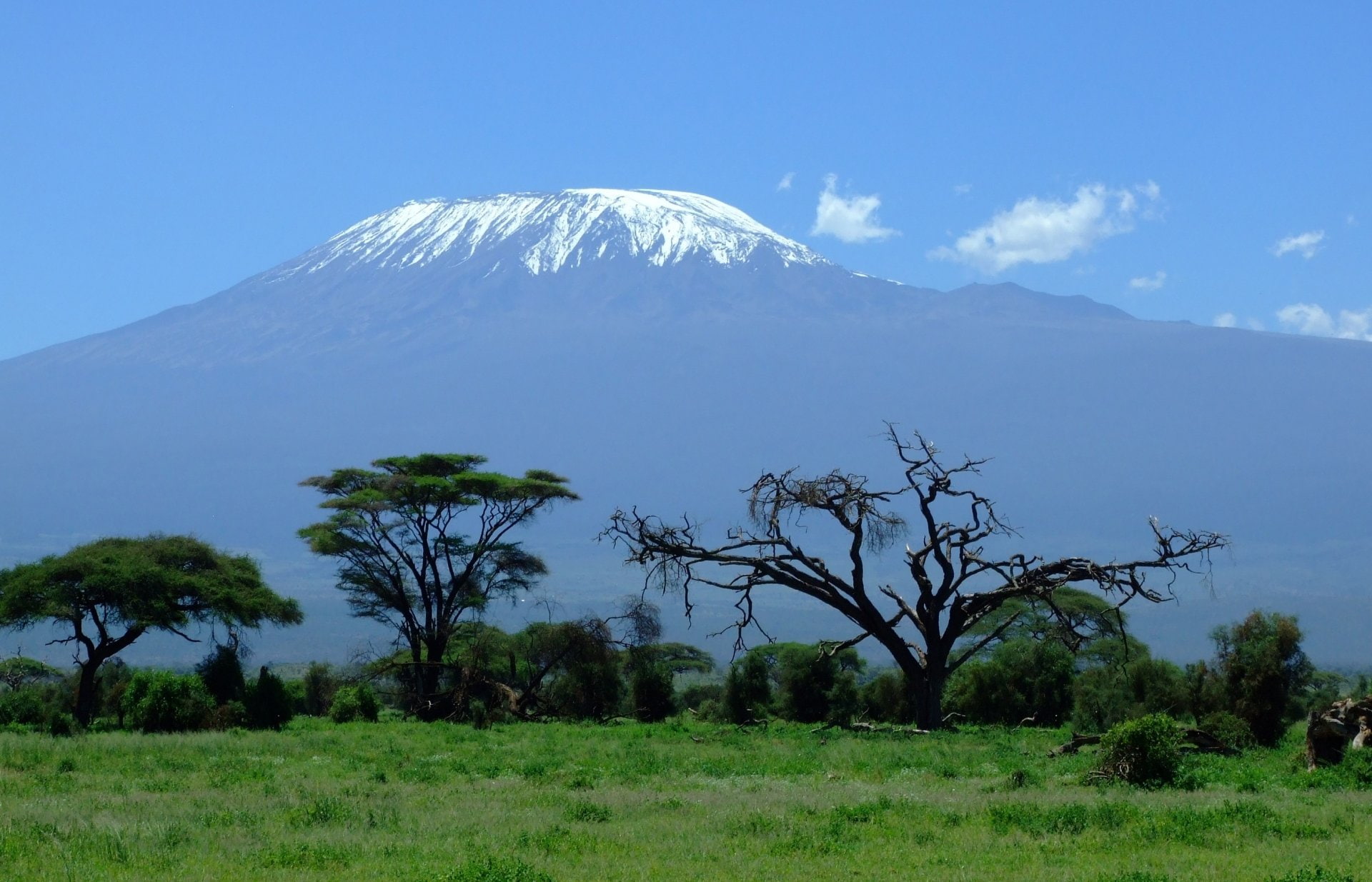 Earth, Mount Kilimanjaro, Africa, Landscape, Nature, Tree, Volcano