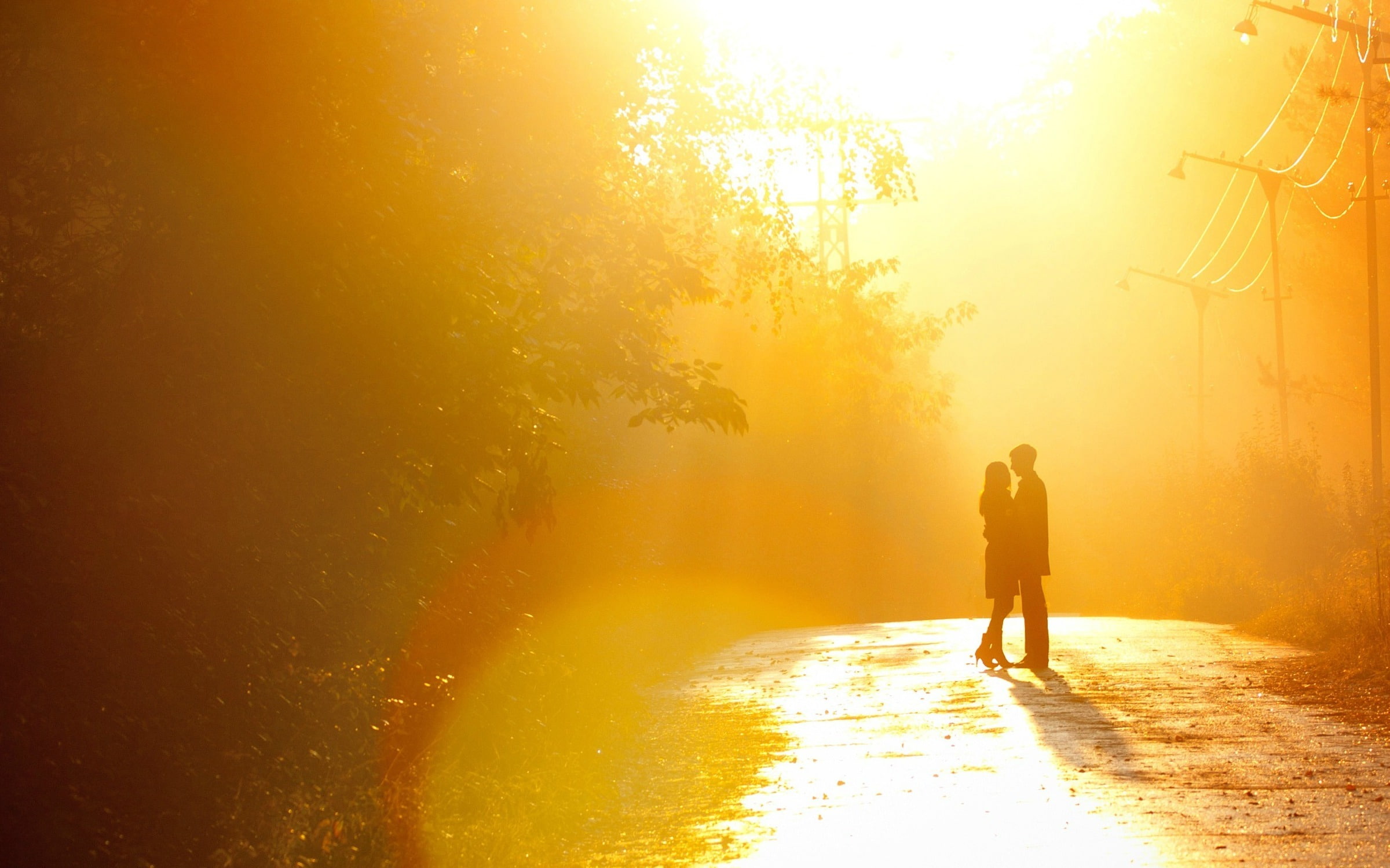 man and woman silhouette, girl, the sun, trees, love, background