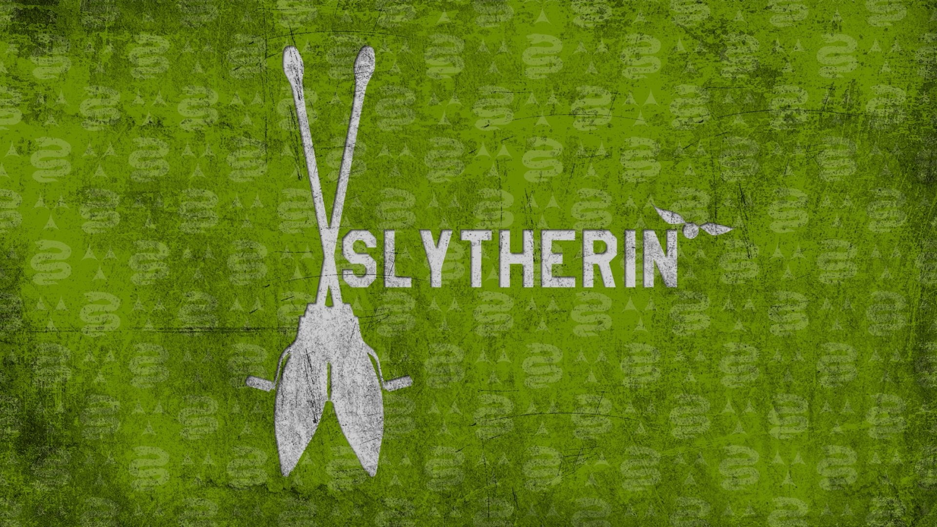 Harry Potter, Broom, Slytherin, green color, text, communication
