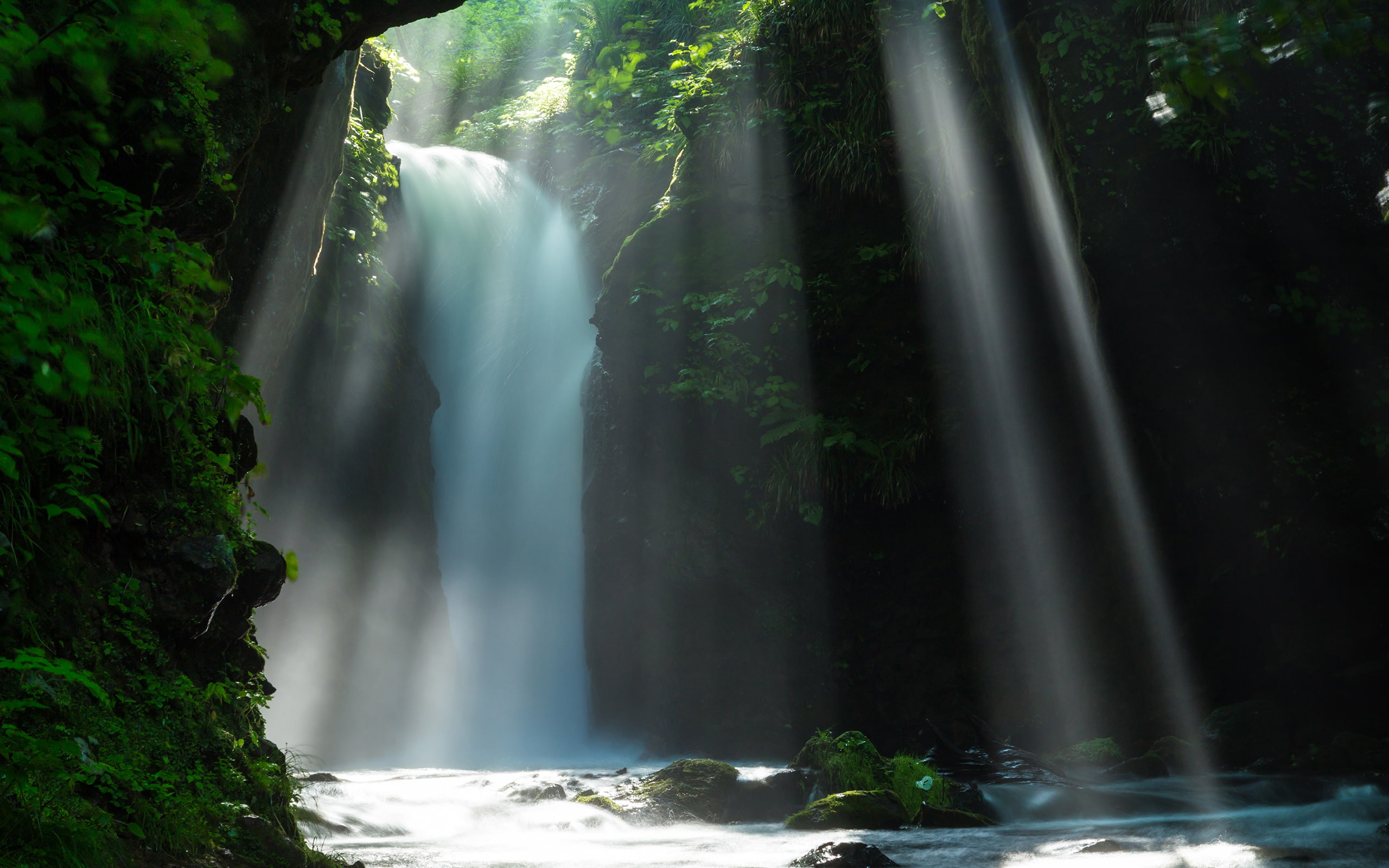 Waterfall Sunlight Jungle Forest Stream HD, water falls, nature