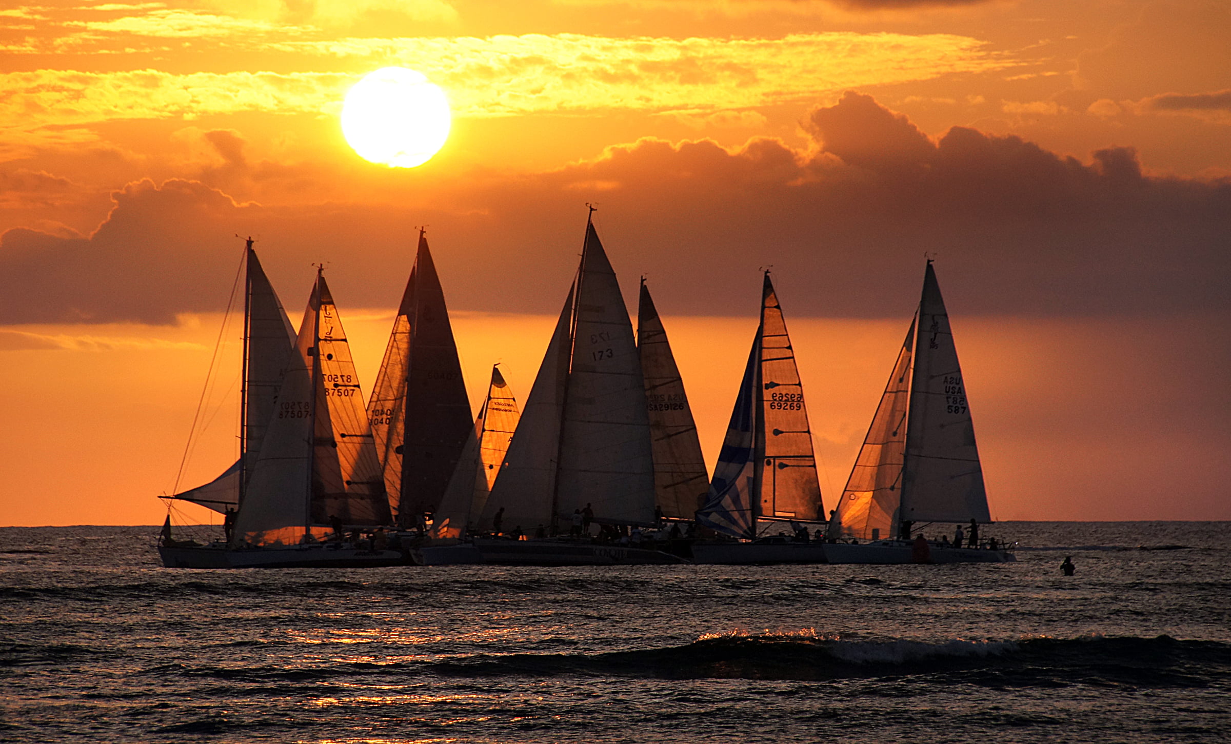 sailboats on wide ocean at sunset, Sailing, Waikiki, Honolulu  Hawaii