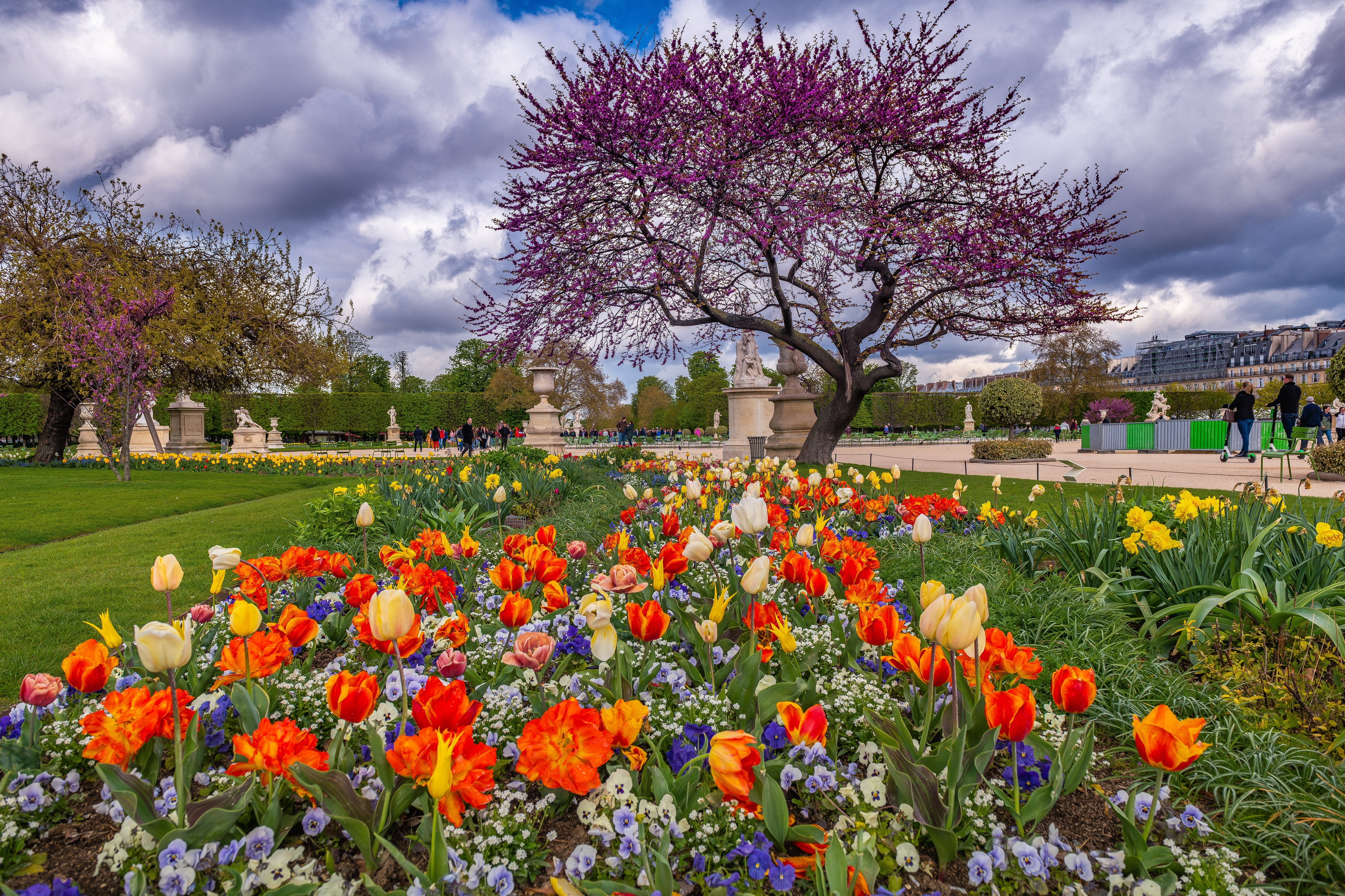 France, Paris, spring, tulips, Elysian Fields