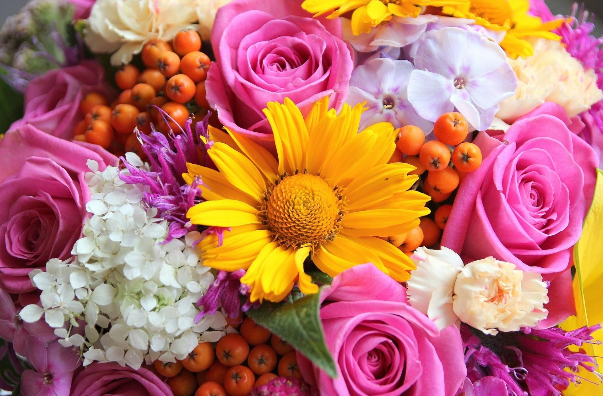 bouquet of flowers, roses, gerbera, phlox, rowan, bunch, close-up